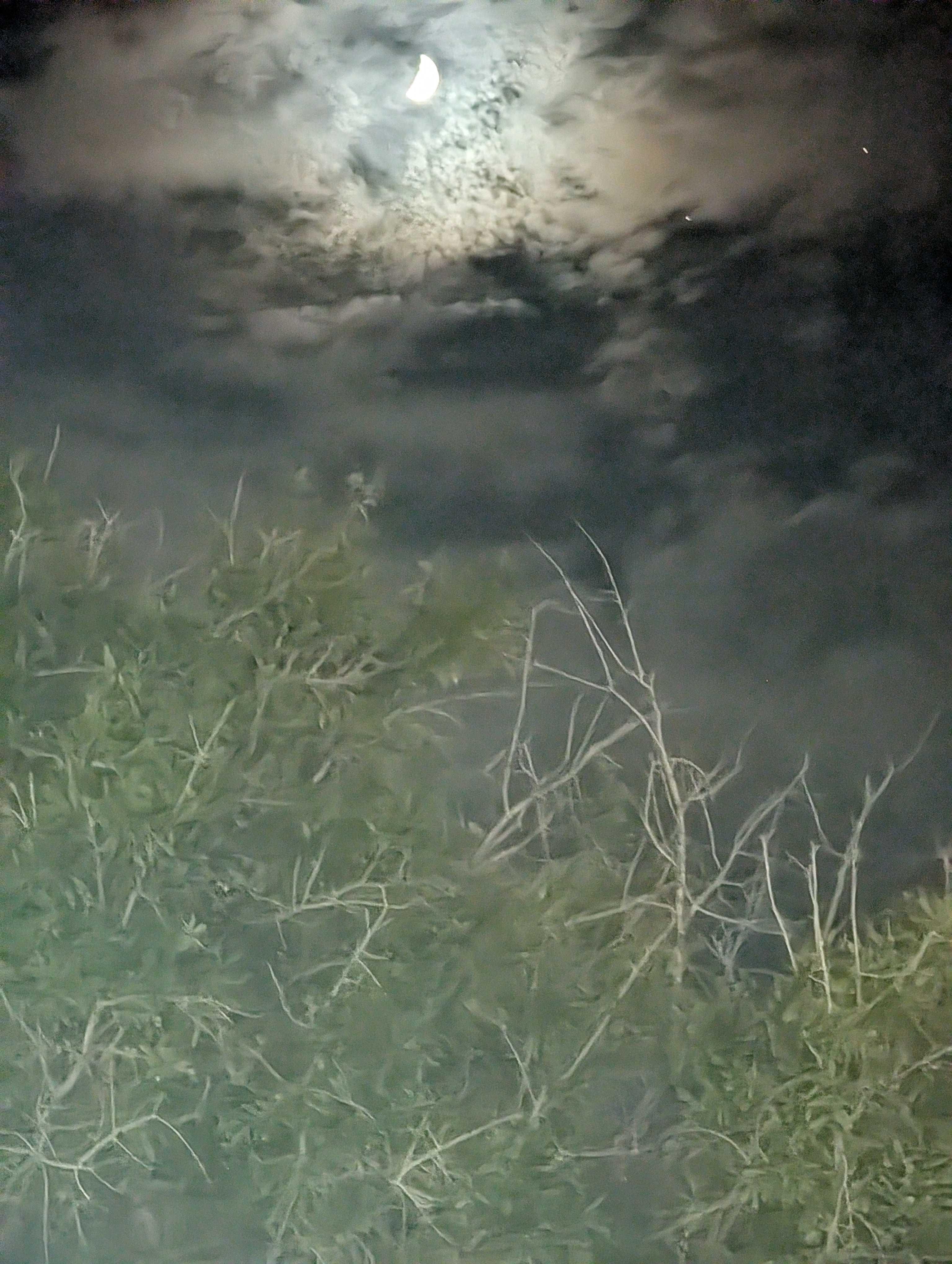 The Moon over Port St. Lucie, United States — first quarter, Lunar Day 8