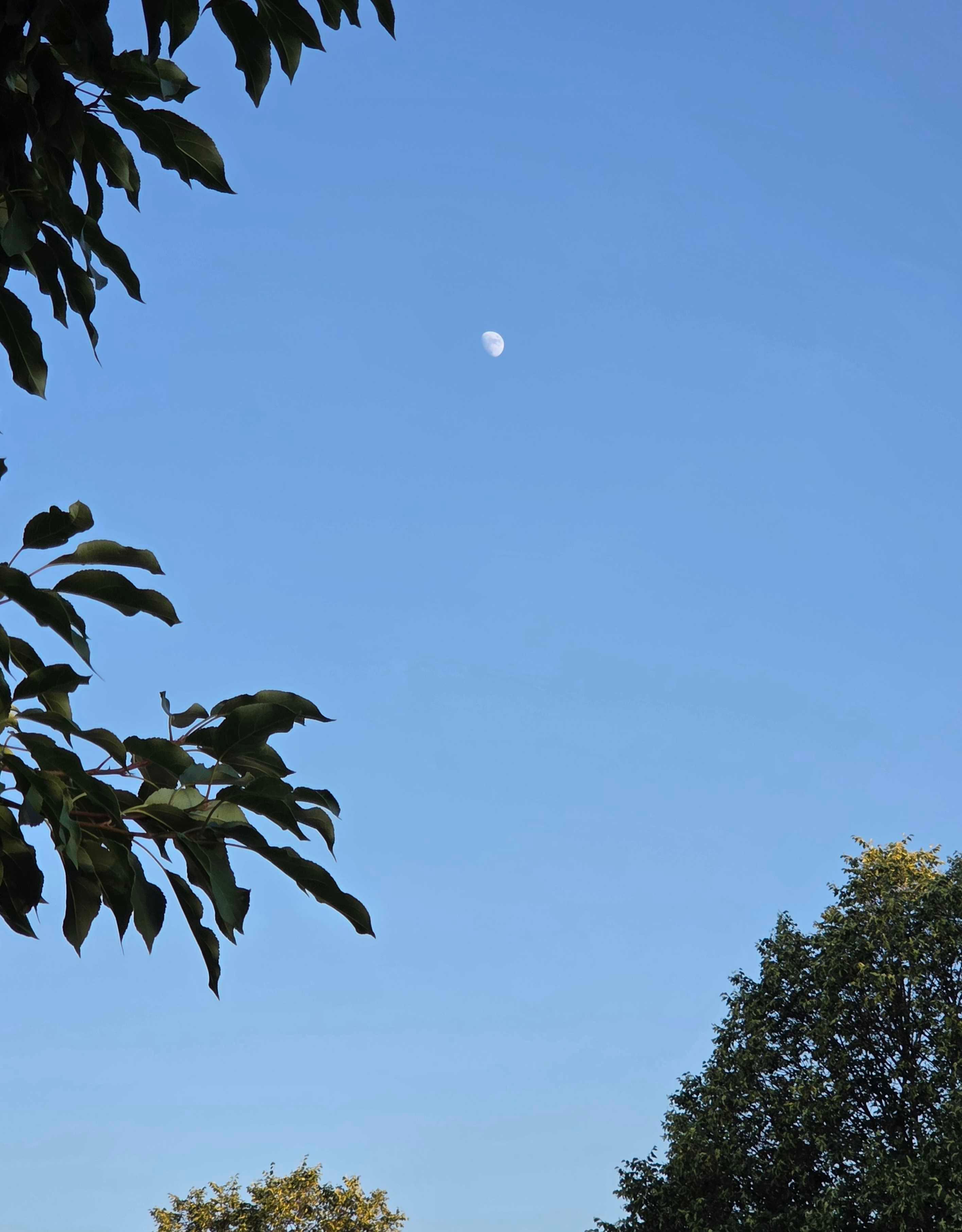 The Moon over Omaha, United States — waxing gibbous, Lunar Day 11