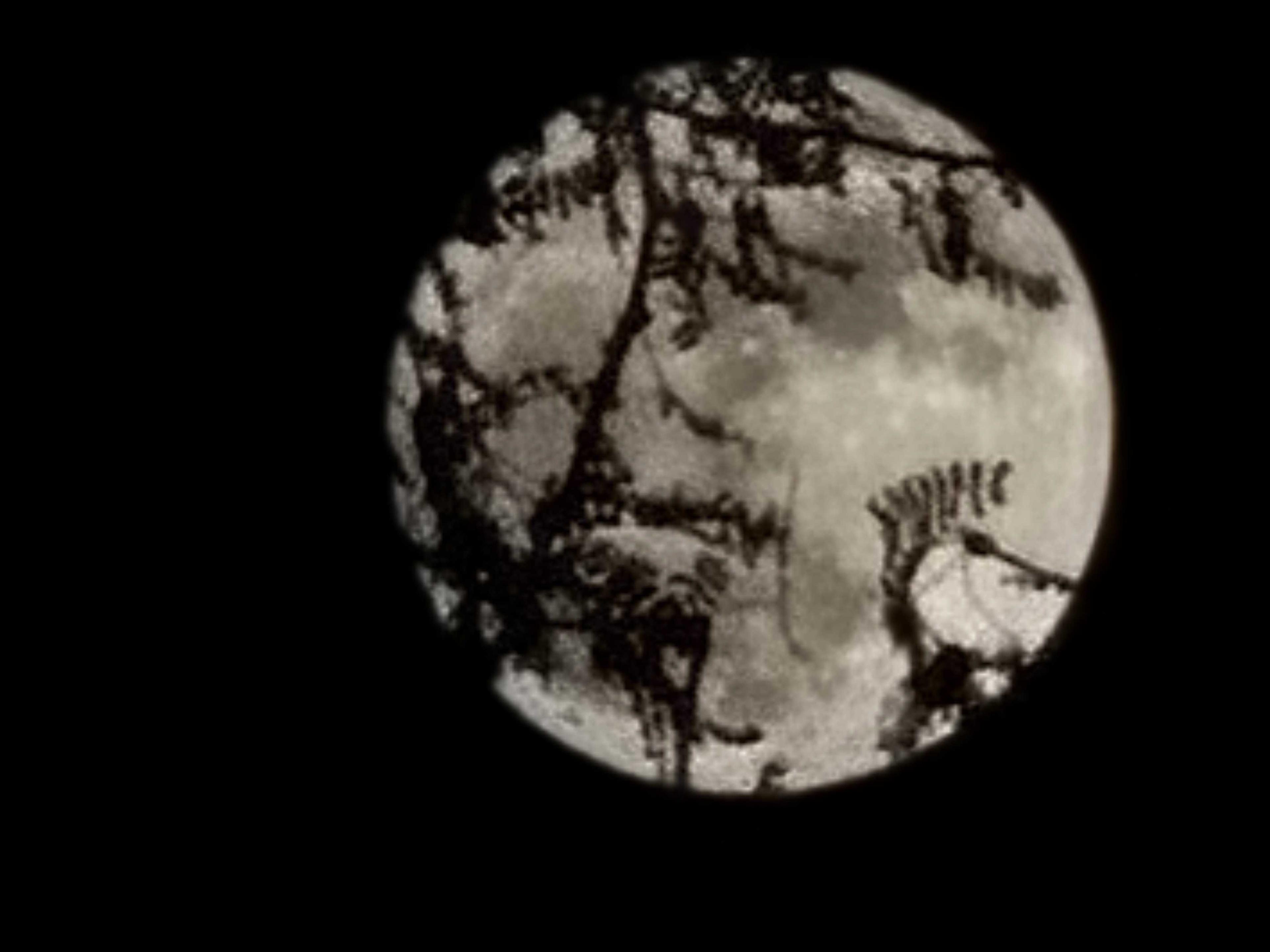 The Moon over Tucson, United States — full moon, Lunar Day 15