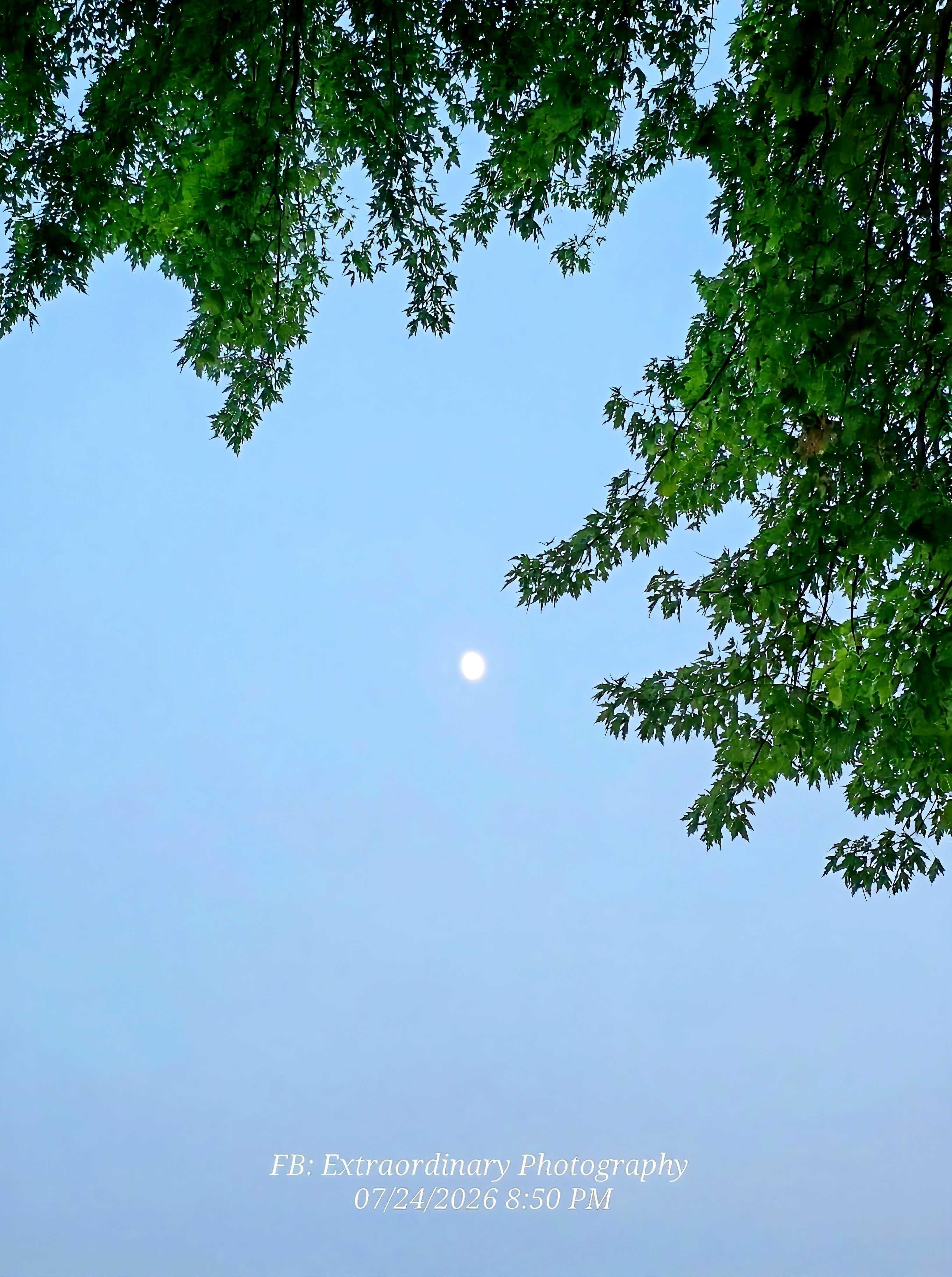 The Moon over Montello, United States — waxing gibbous, Lunar Day 12