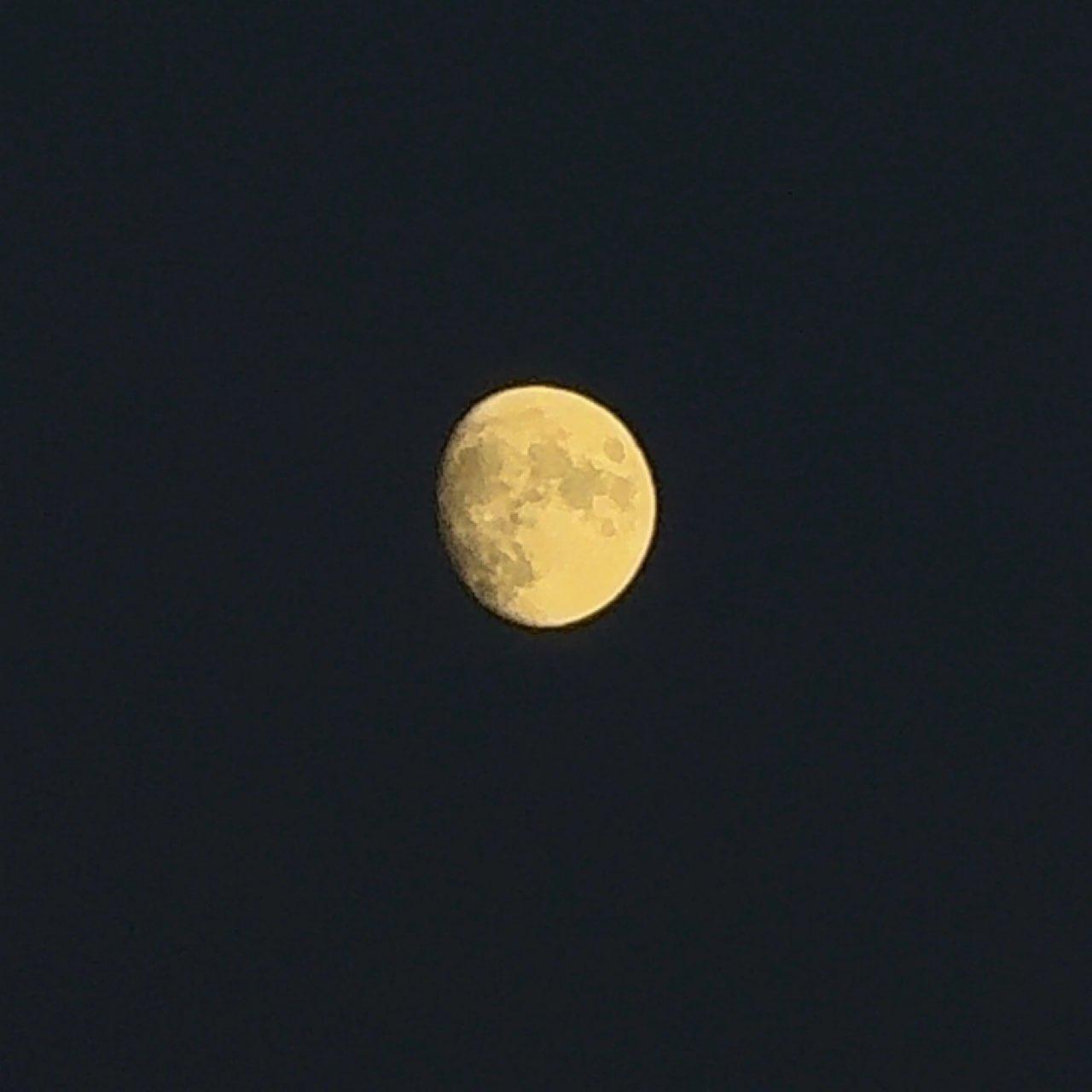 The Moon over Городской Округ Губкинский, Россия — waxing gibbous, Lunar Day 12