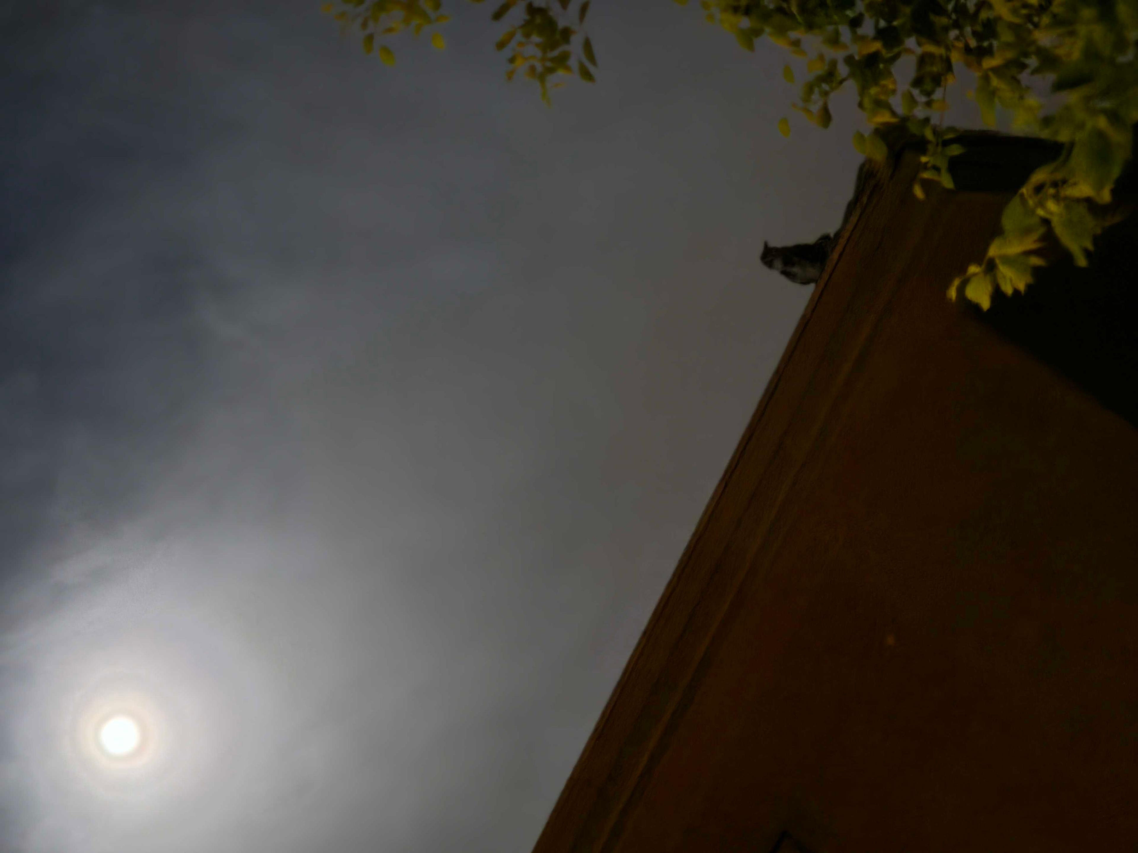 The Moon over Tucson, United States — full moon, Lunar Day 16