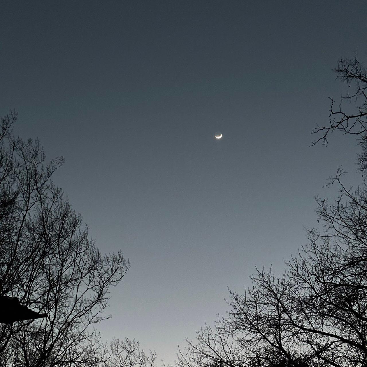The Moon over Farmers Branch, Estados Unidos — waxing crescent, Lunar Day 4