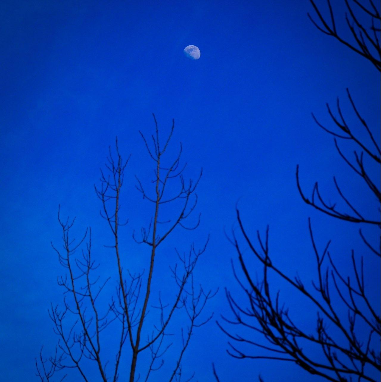 The Moon over Windsor, Canada — waxing gibbous, Lunar Day 11