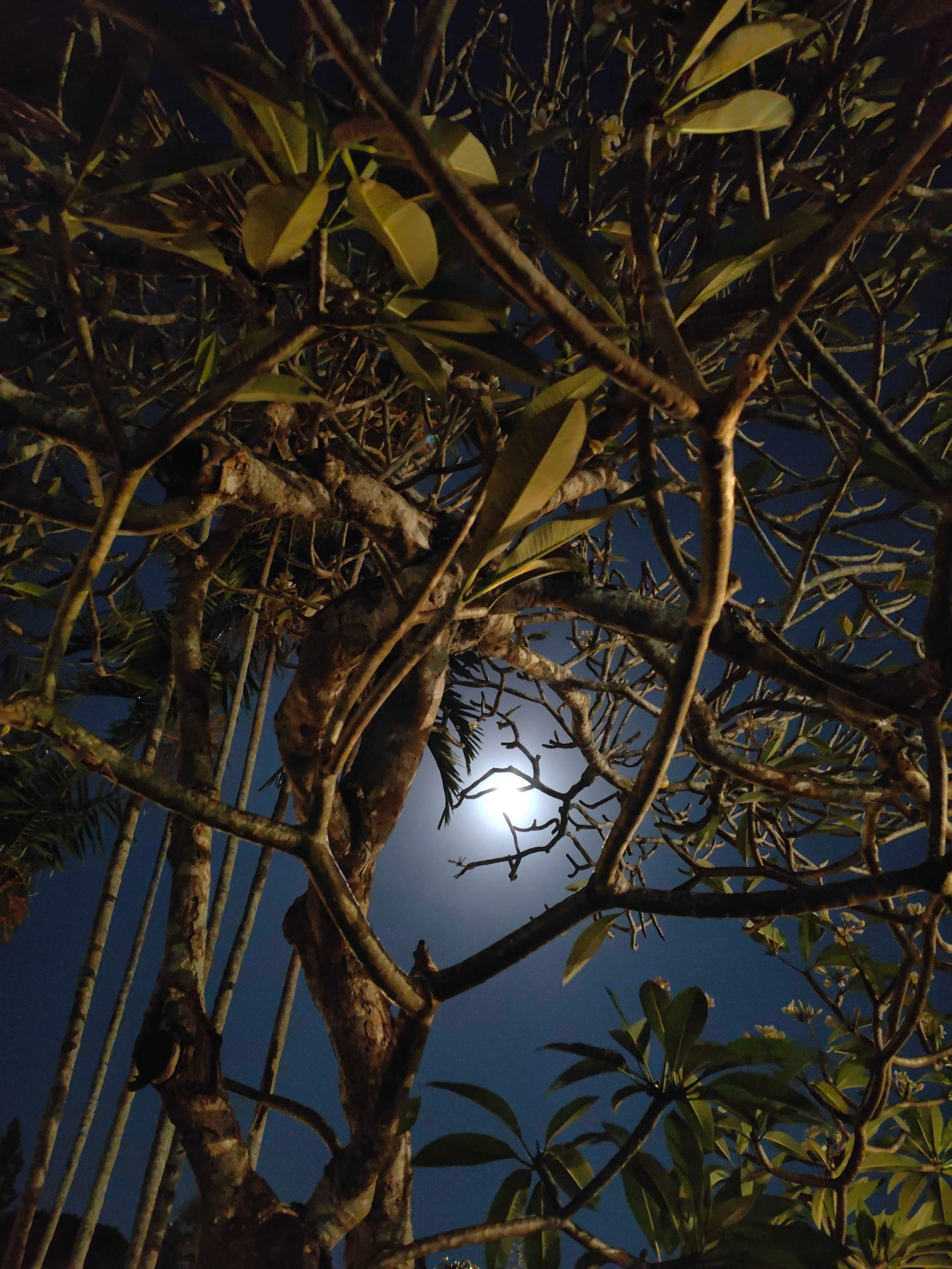 The Moon over Kuta Selatan, Indonesien — full moon, Lunar Day 16