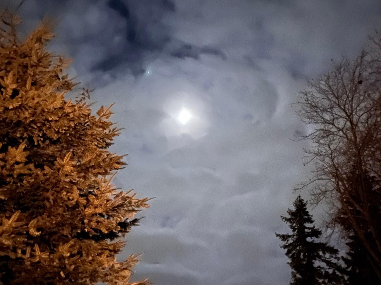 The Moon over Port Alberni, Canada — first quarter, Lunar Day 7