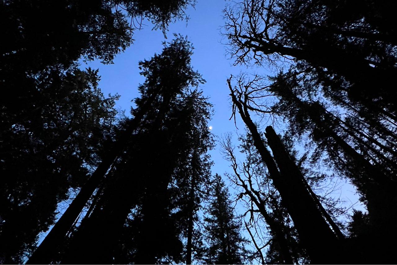 The Moon over Greater Vancouver, Canada — first quarter, Lunar Day 7