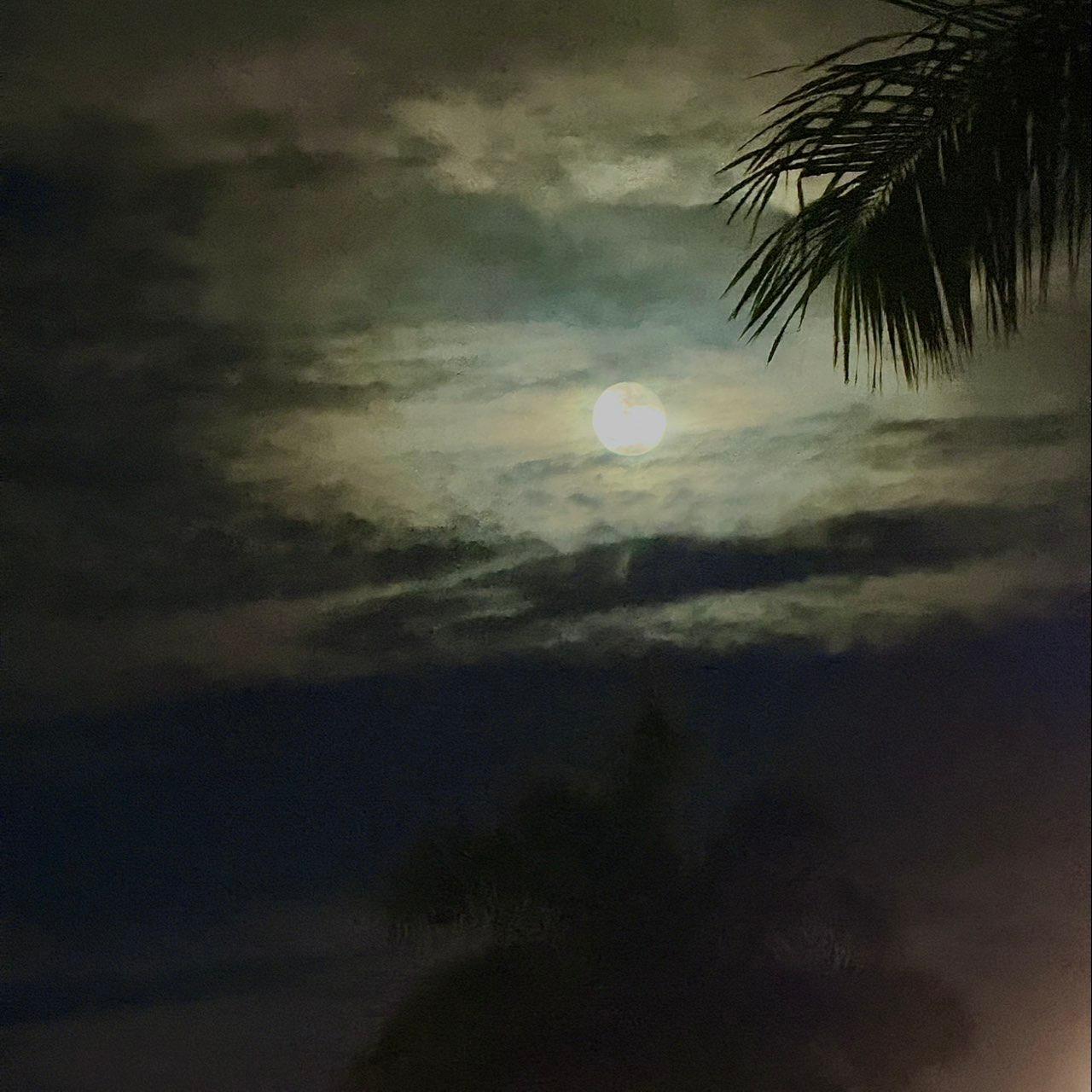 The Moon over Miami, United States — waning gibbous, Lunar Day 18
