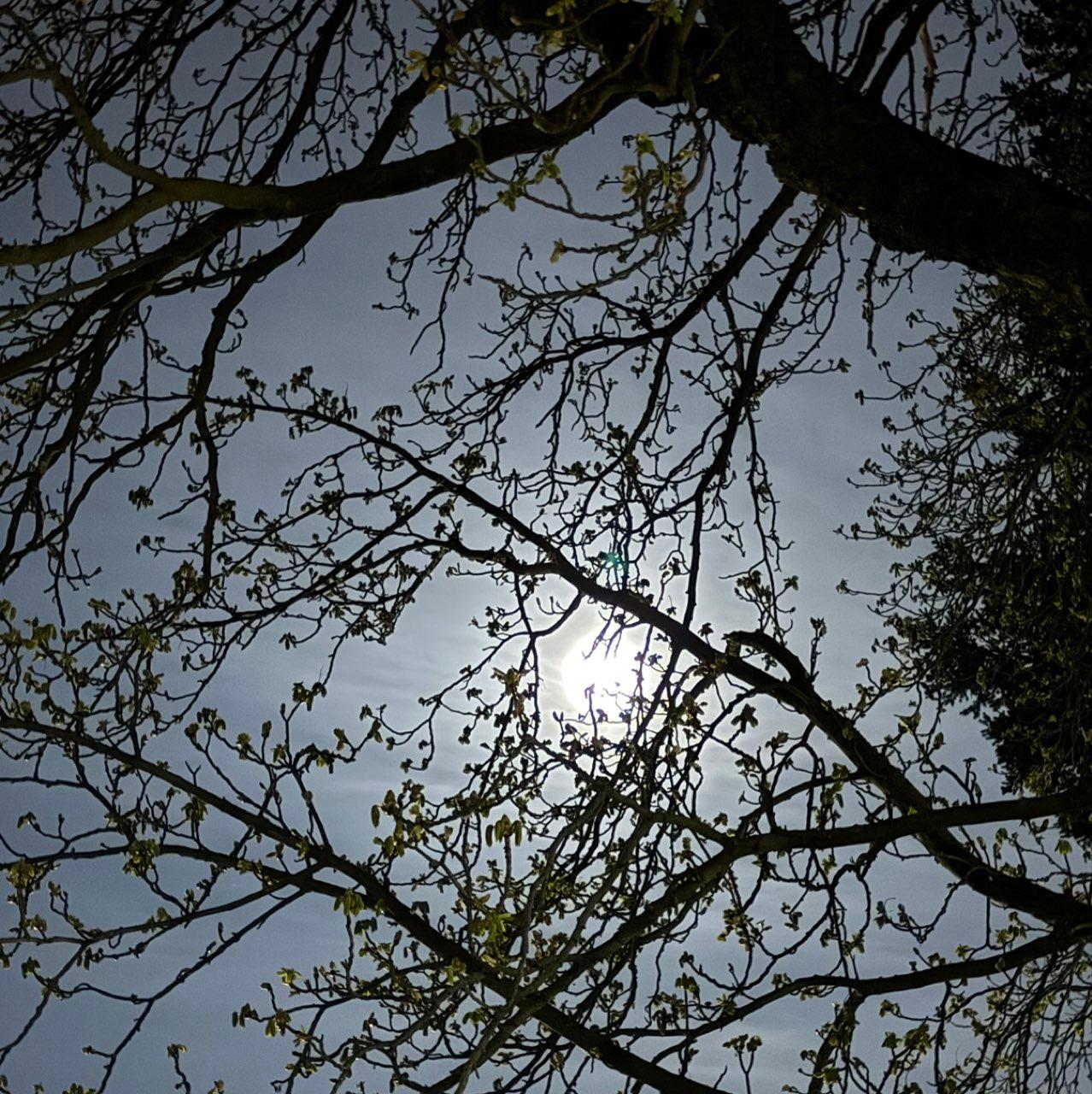 The Moon over Berlin, Deutschland — full moon, Lunar Day 14
