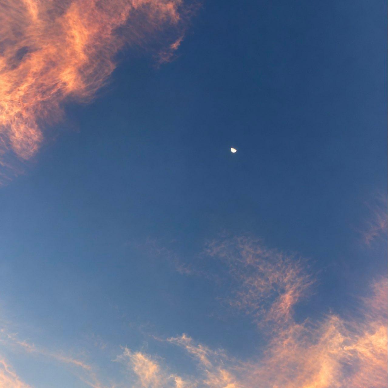 The Moon over Colorado Springs, United States — last quarter, Lunar Day 23