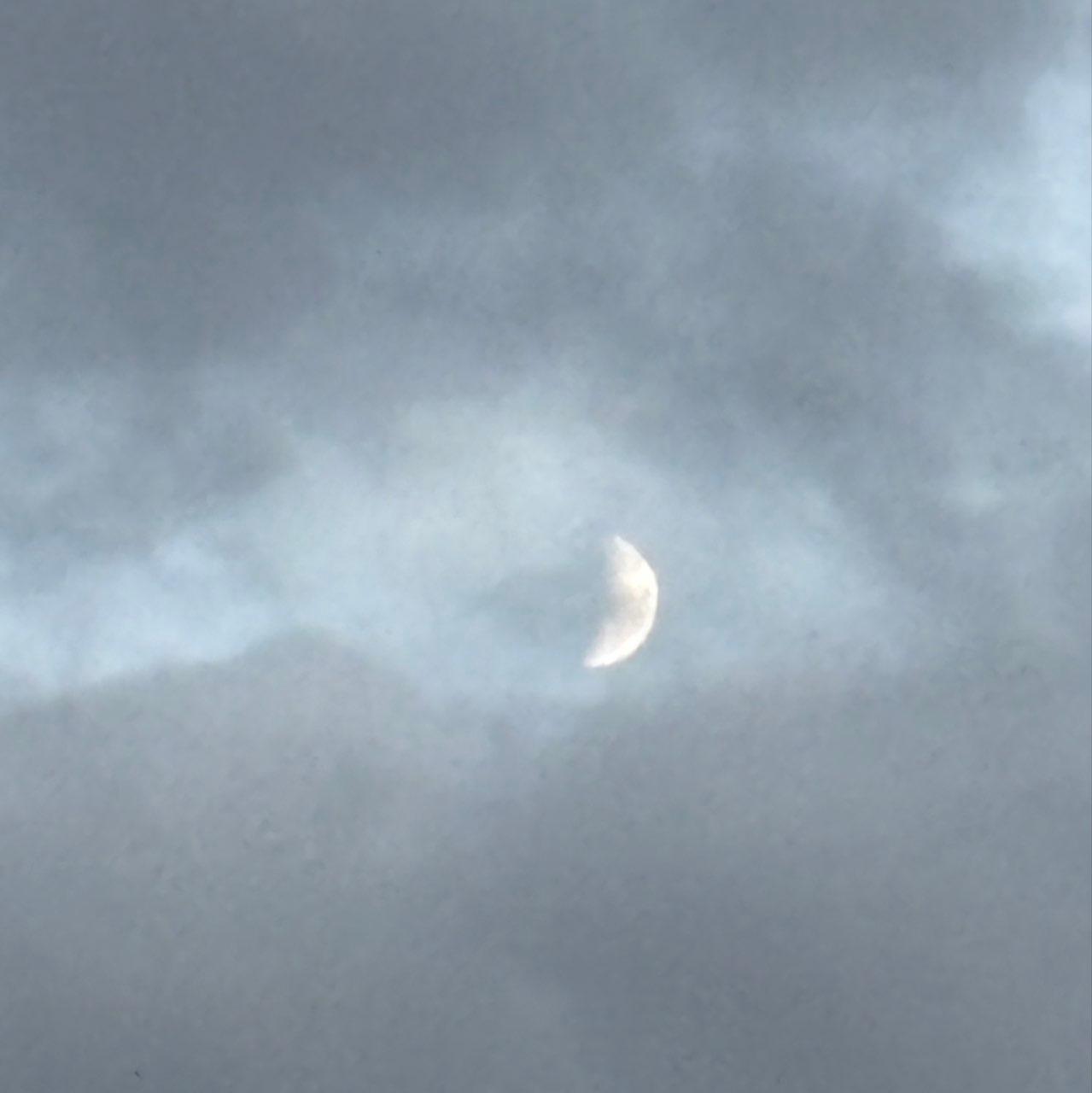 The Moon over Denver, United States — first quarter, Lunar Day 8