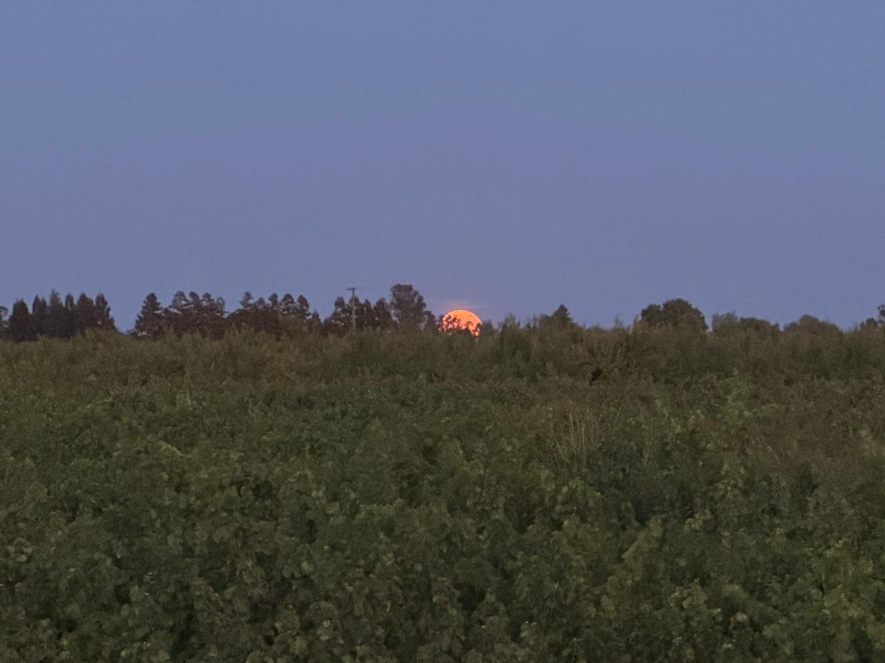 The Moon over Lodi, United States — full moon, Lunar Day 16