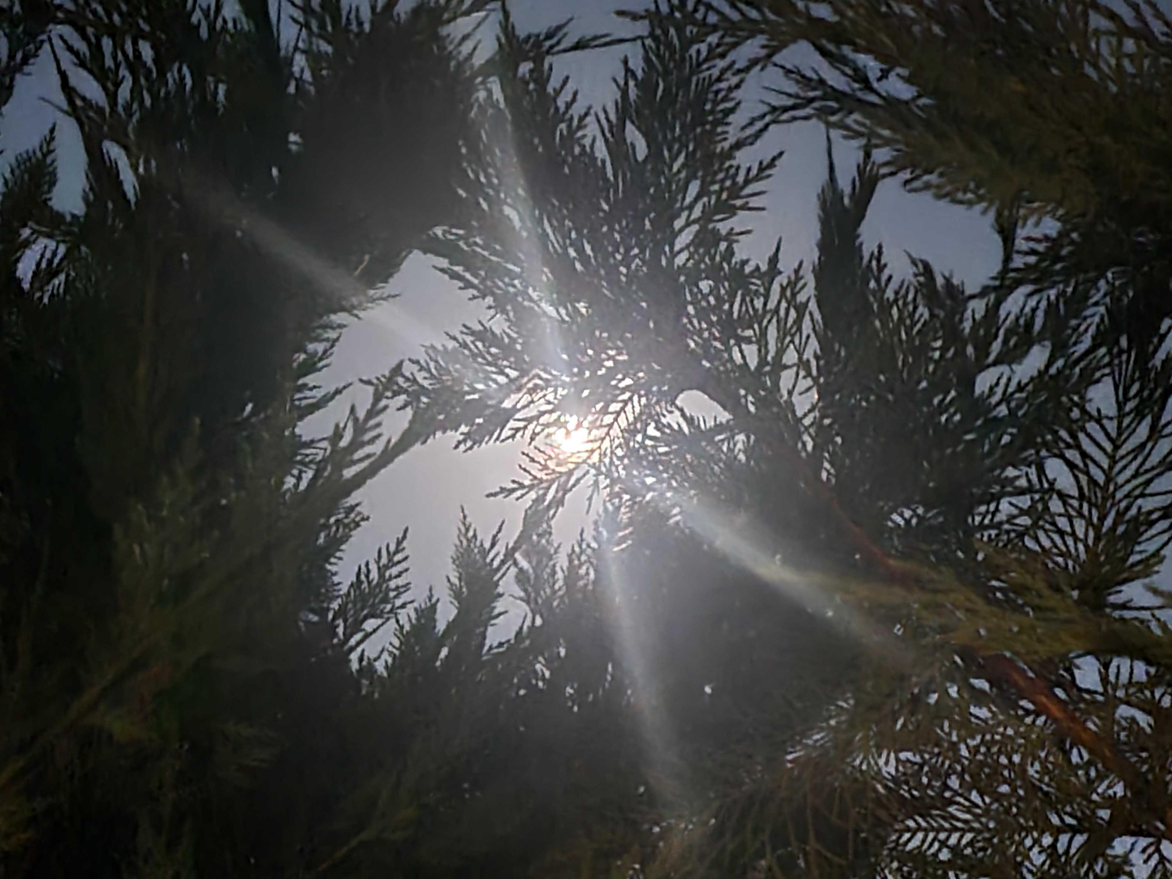 The Moon over Ebern, Deutschland — full moon, Lunar Day 16