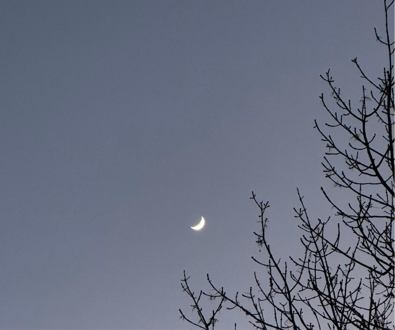 The Moon over Dettelbach, Deutschland — waxing crescent, Lunar Day 5