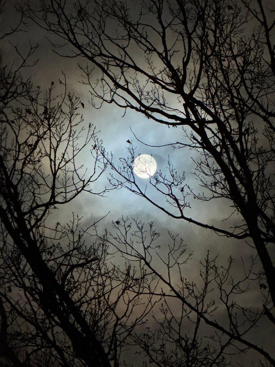 The Moon over Kalmar, Sverige — full moon, Lunar Day 15