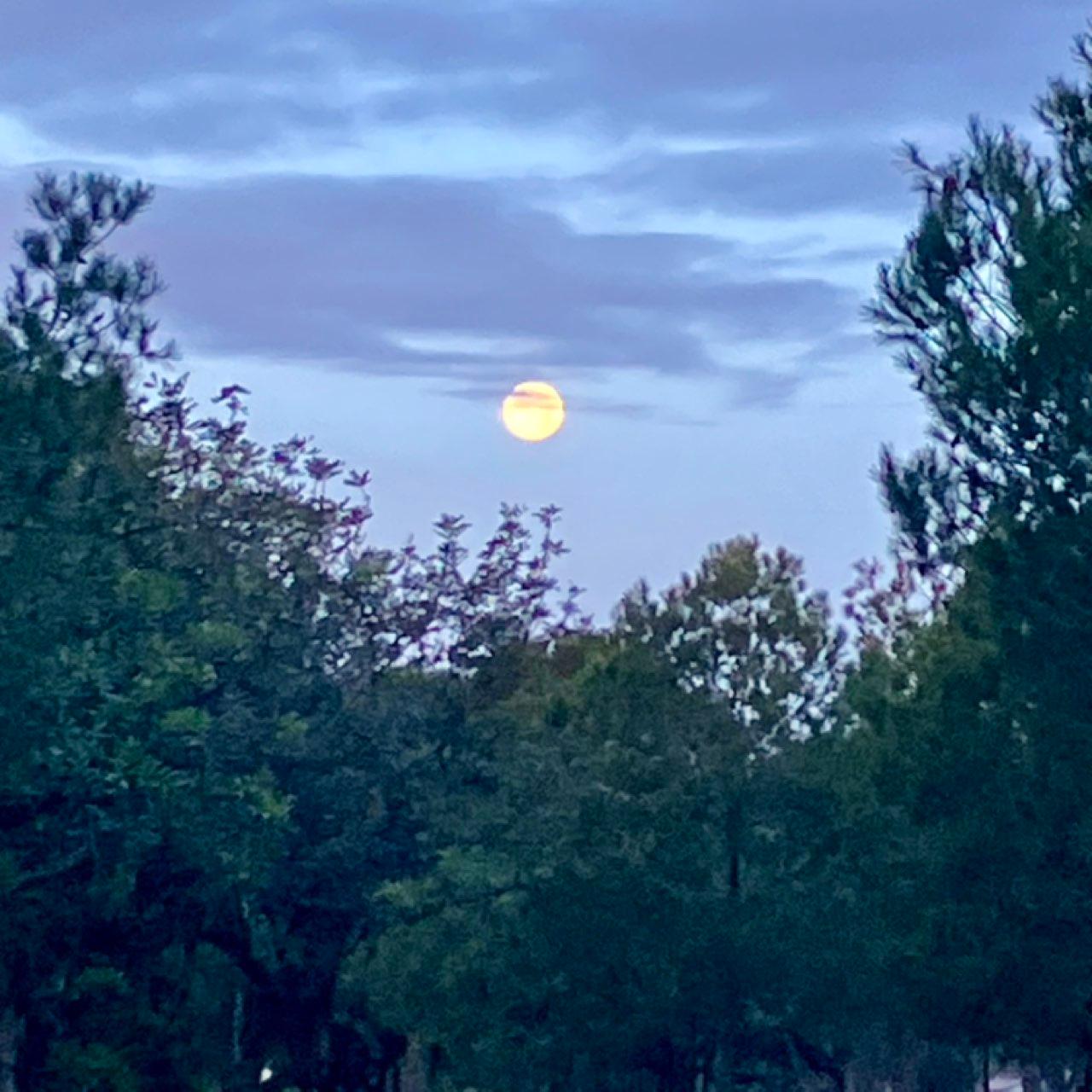 The Moon over Paterna, España — full moon, Lunar Day 16
