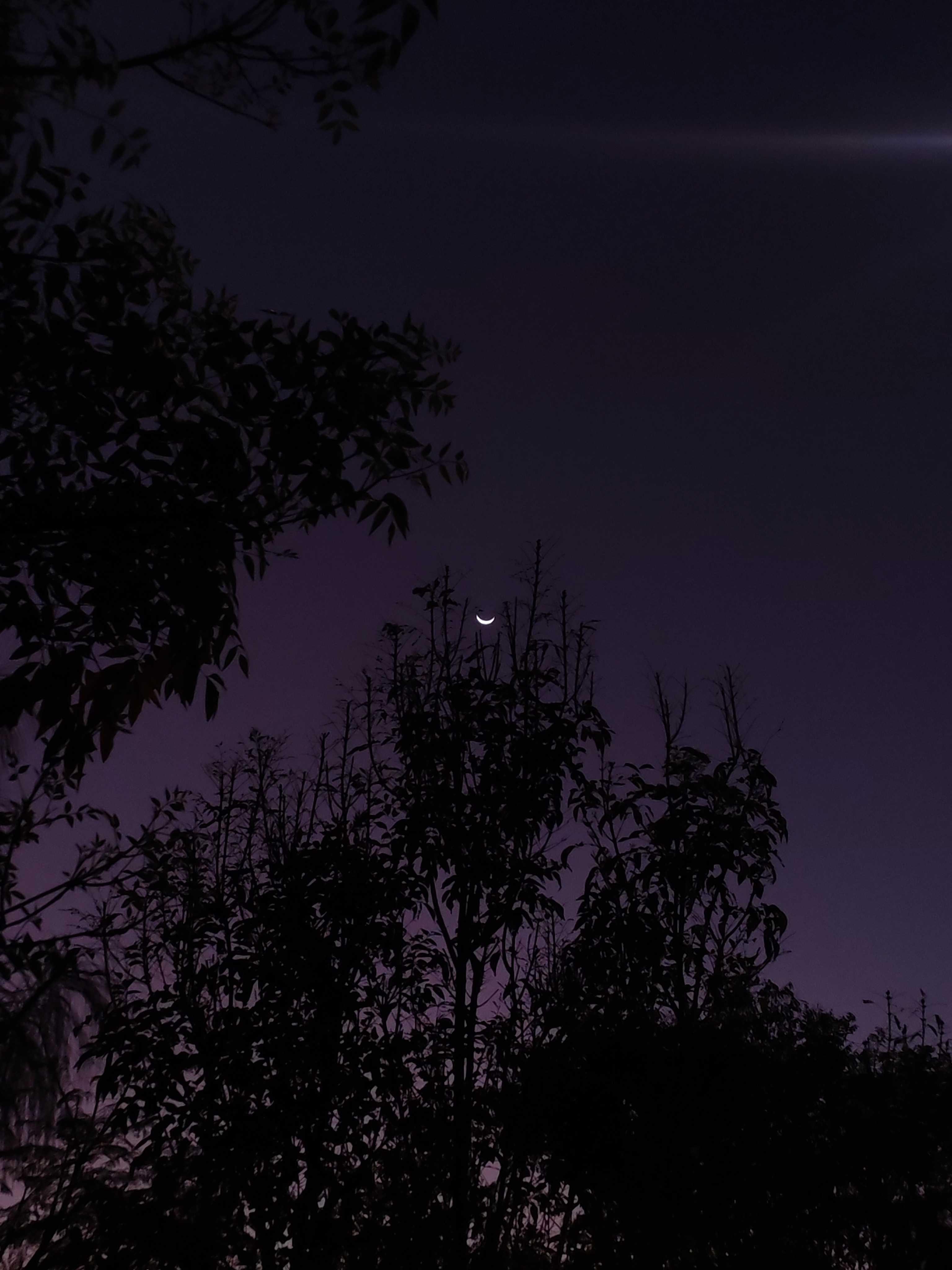 The Moon over San Pedro Tlaquepaque, México — waxing crescent, Lunar Day 5