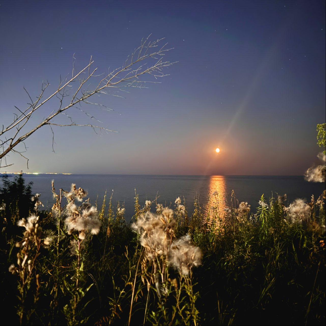 The Moon over Toronto, Canada — waning gibbous, Lunar Day 19