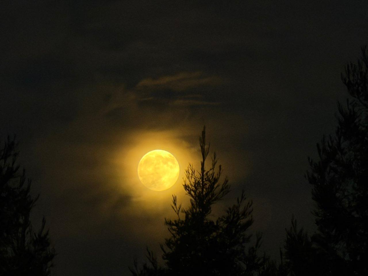 The Moon over Lodi, United States — full moon, Lunar Day 16