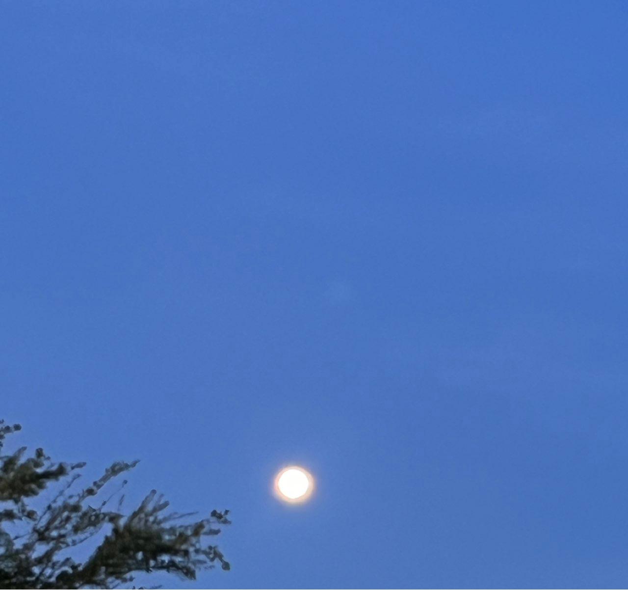 The Moon over Homestead, Estados Unidos — full moon, Lunar Day 16
