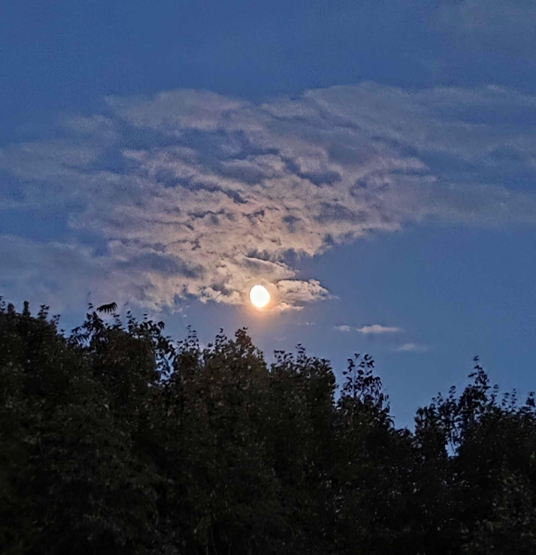 The Moon over Trieste, Italia — waxing gibbous, Lunar Day 13