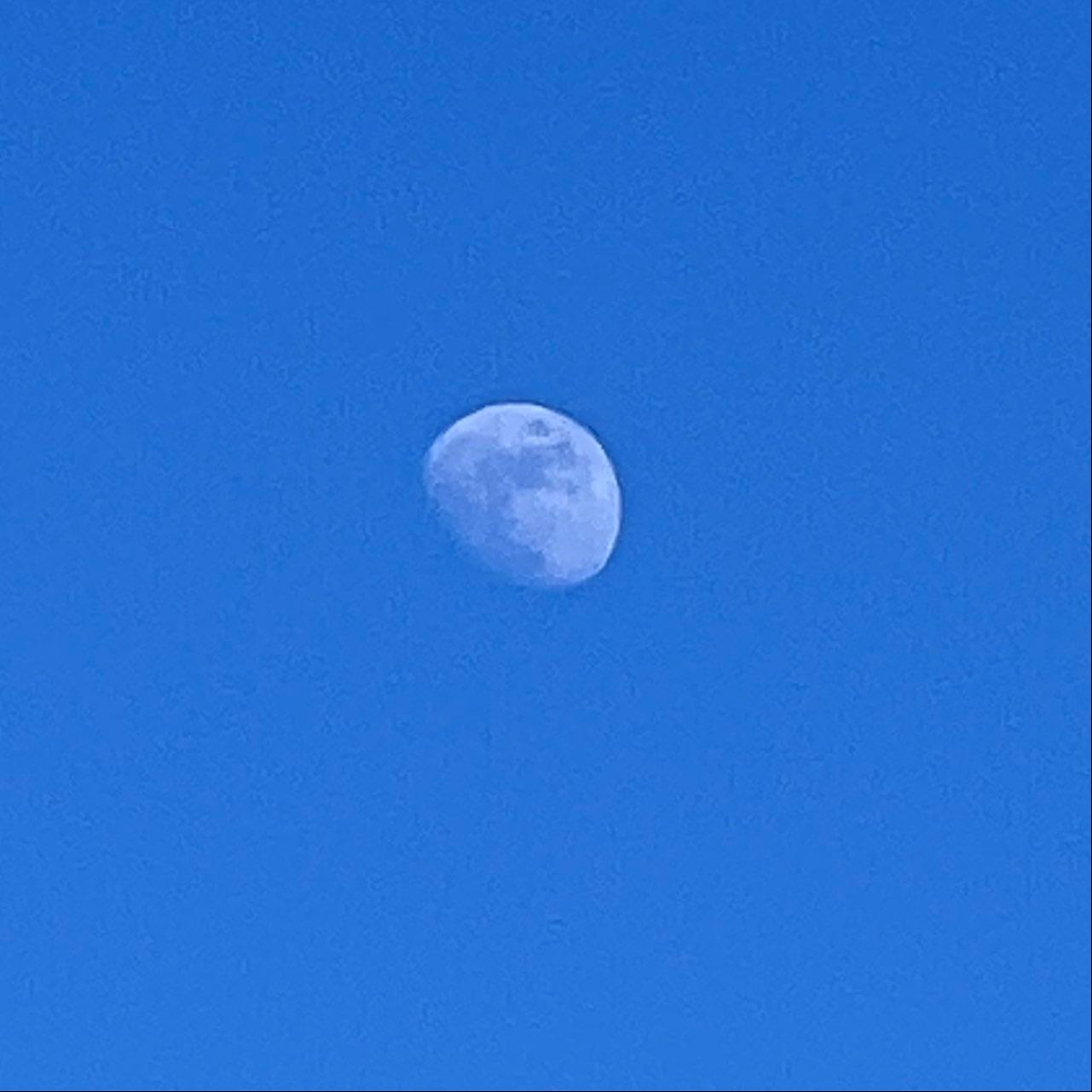 The Moon over Минск, Беларусь — waxing gibbous, Lunar Day 11