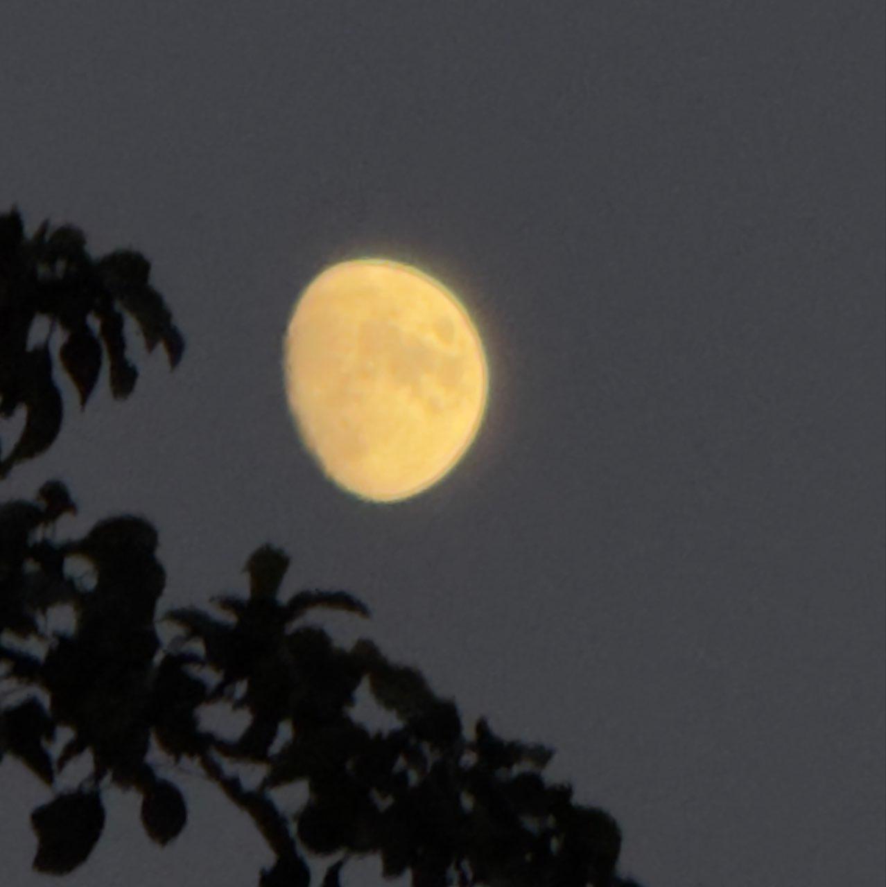 The Moon over Warszawa, Polska — waxing gibbous, Lunar Day 11