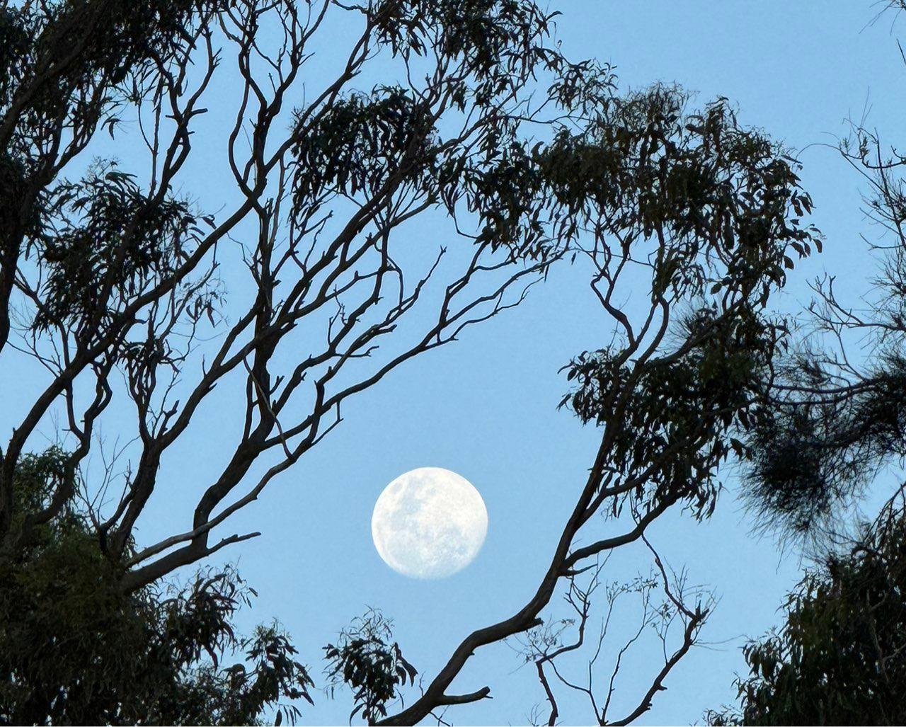 The Moon over Nelson Bay, Australia — full moon, Lunar Day 14