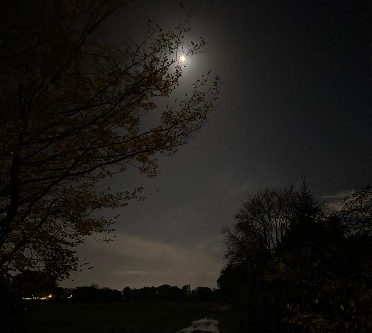 The Moon over Halstenbek, Deutschland — waxing gibbous, Lunar Day 13