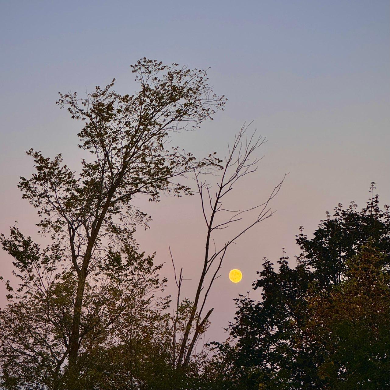 The Moon over Toronto, Canada — full moon, Lunar Day 16
