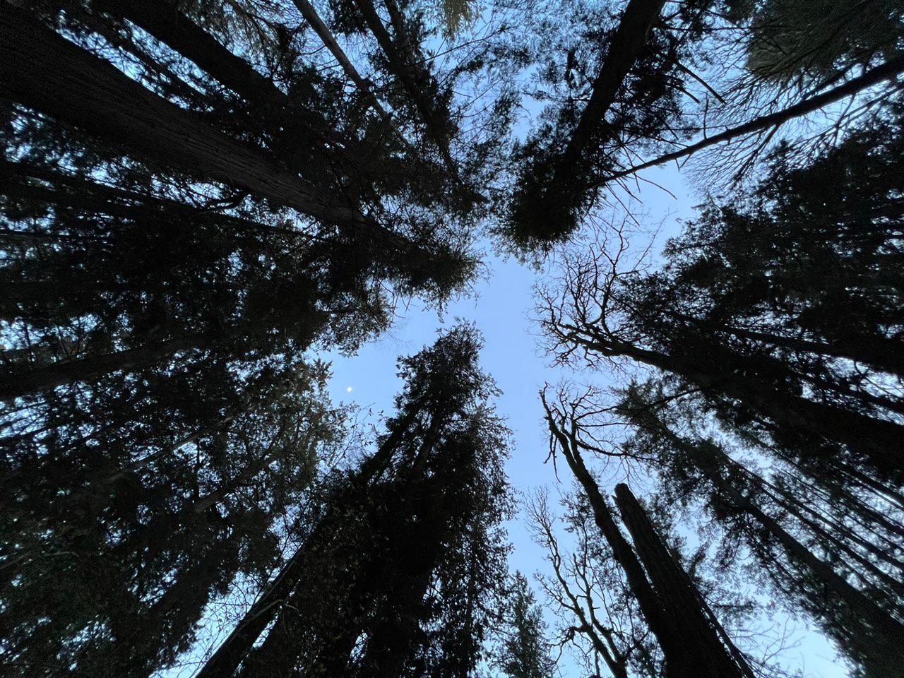 The Moon over Squamish-Lillooet, Canada — first quarter, Lunar Day 10