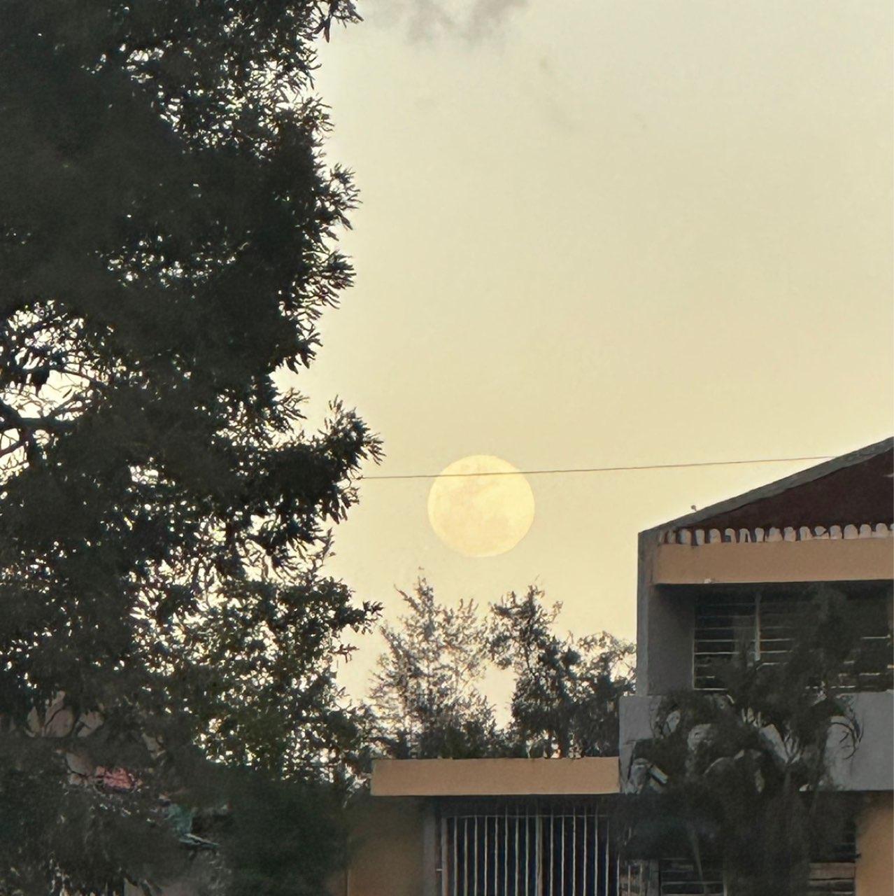 The Moon over Manatí, Estados Unidos — full moon, Lunar Day 14