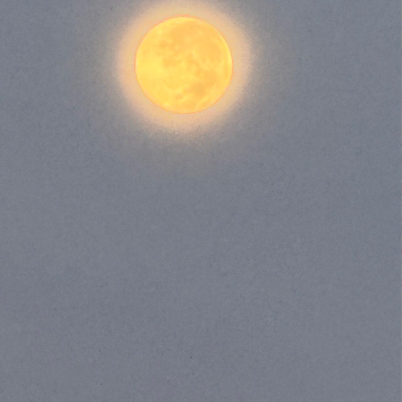 The Moon over Magnolia, United States — full moon, Lunar Day 17