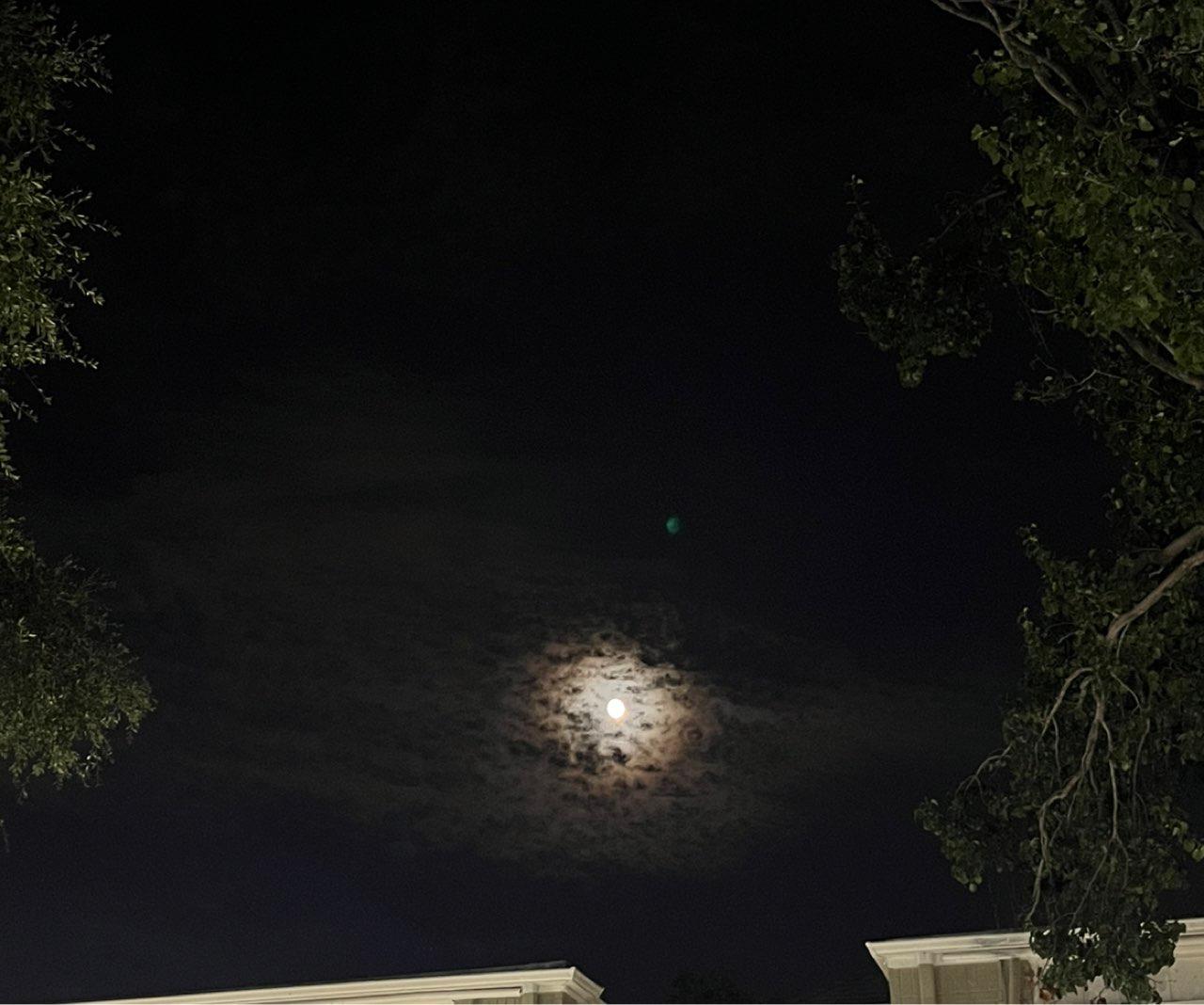 The Moon over Irving, Estados Unidos — waxing gibbous, Lunar Day 14