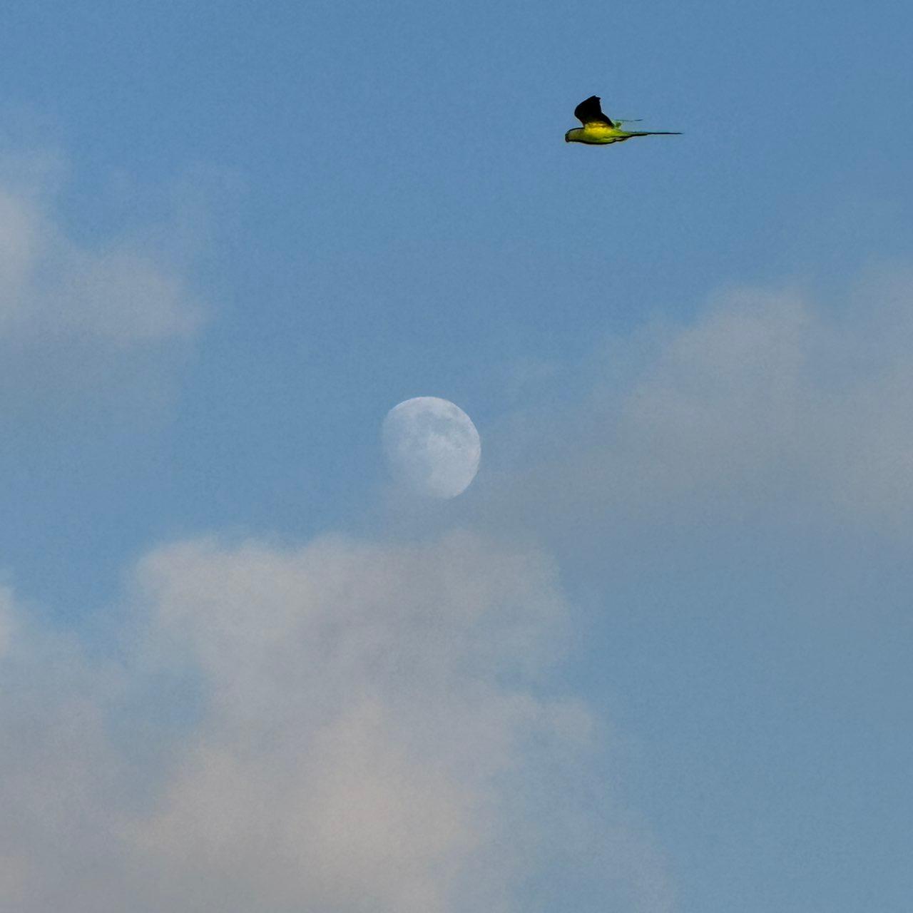 The Moon over Limeil-Brévannes, France — waxing gibbous, Lunar Day 13
