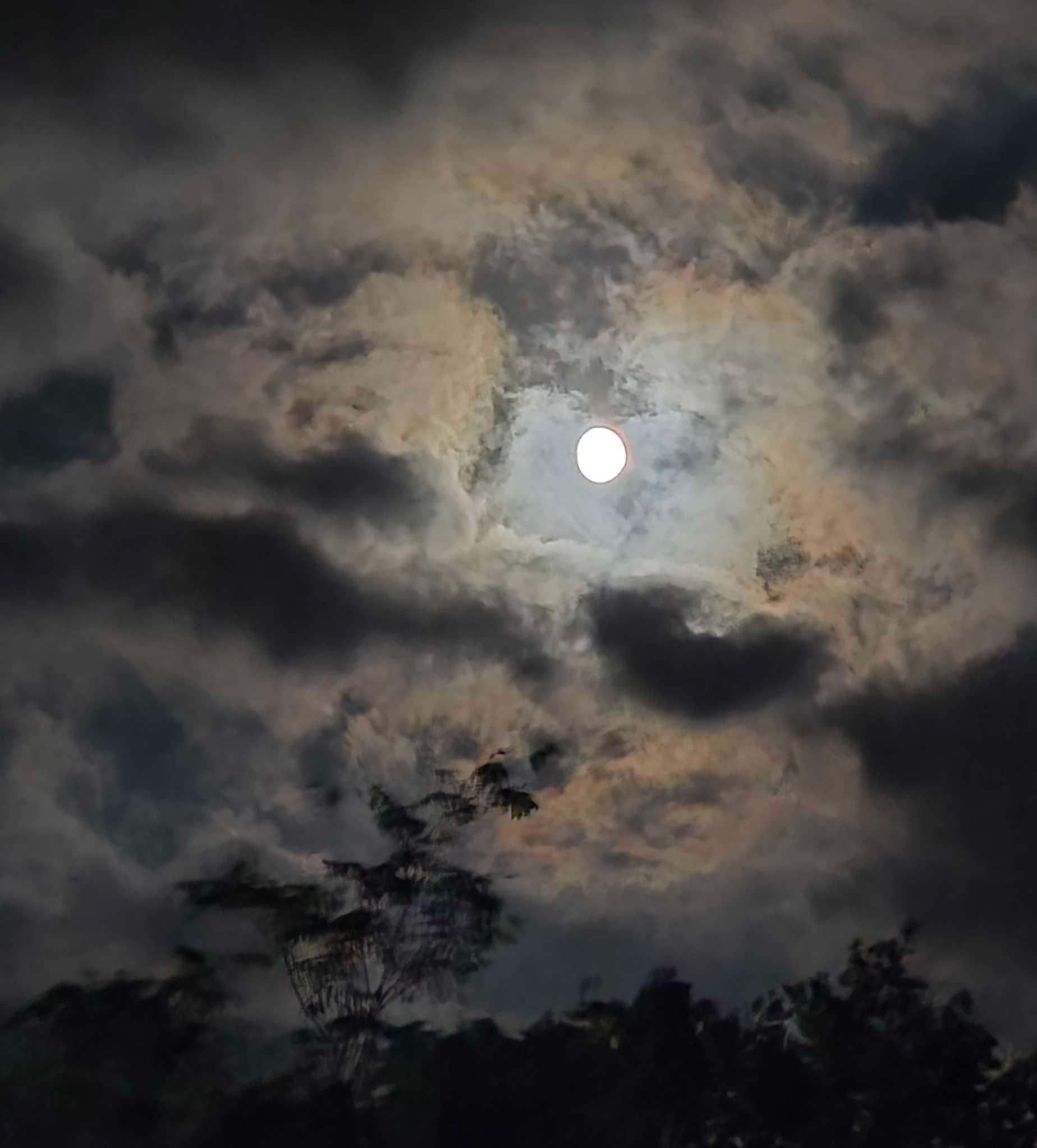 The Moon over Trieste, Italia — waxing gibbous, Lunar Day 14