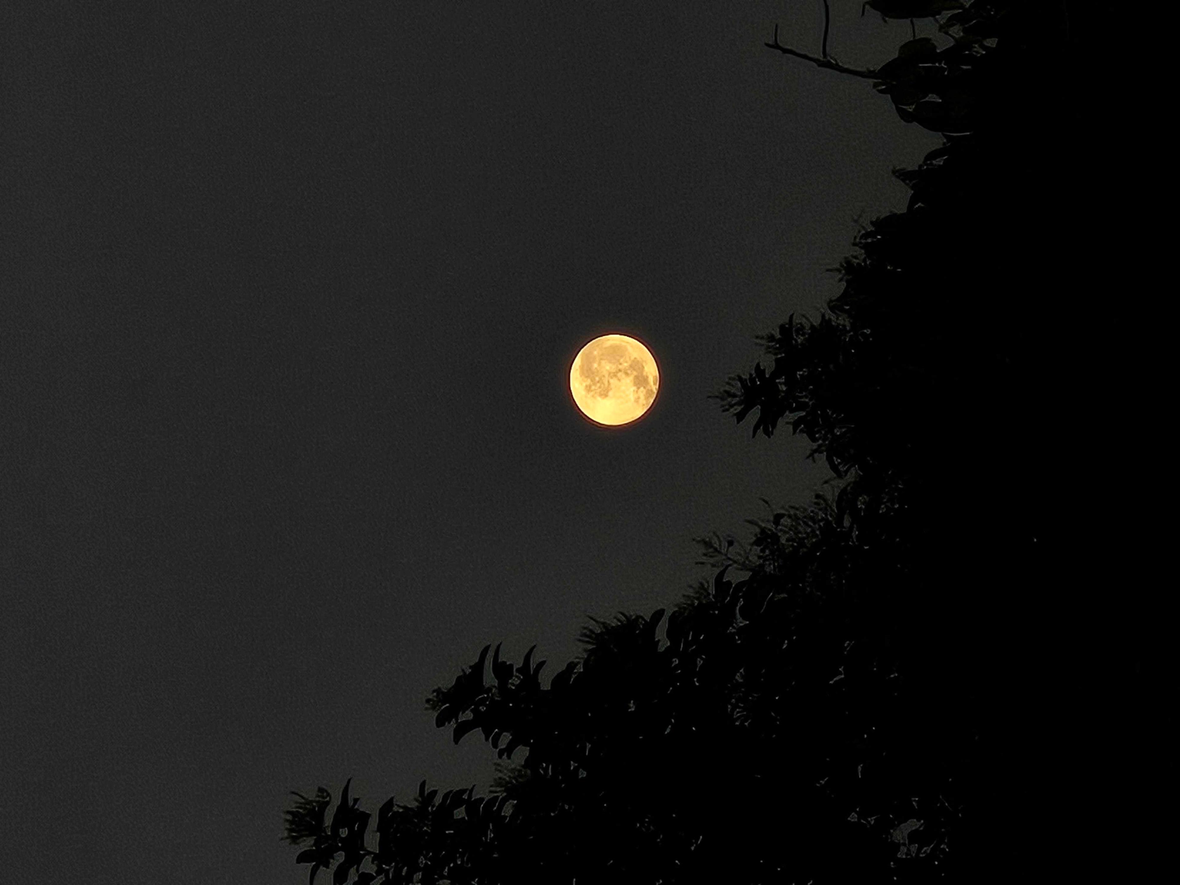 The Moon over Kecamatan Banjarmasin Utara, Indonesia — full moon, Lunar Day 18