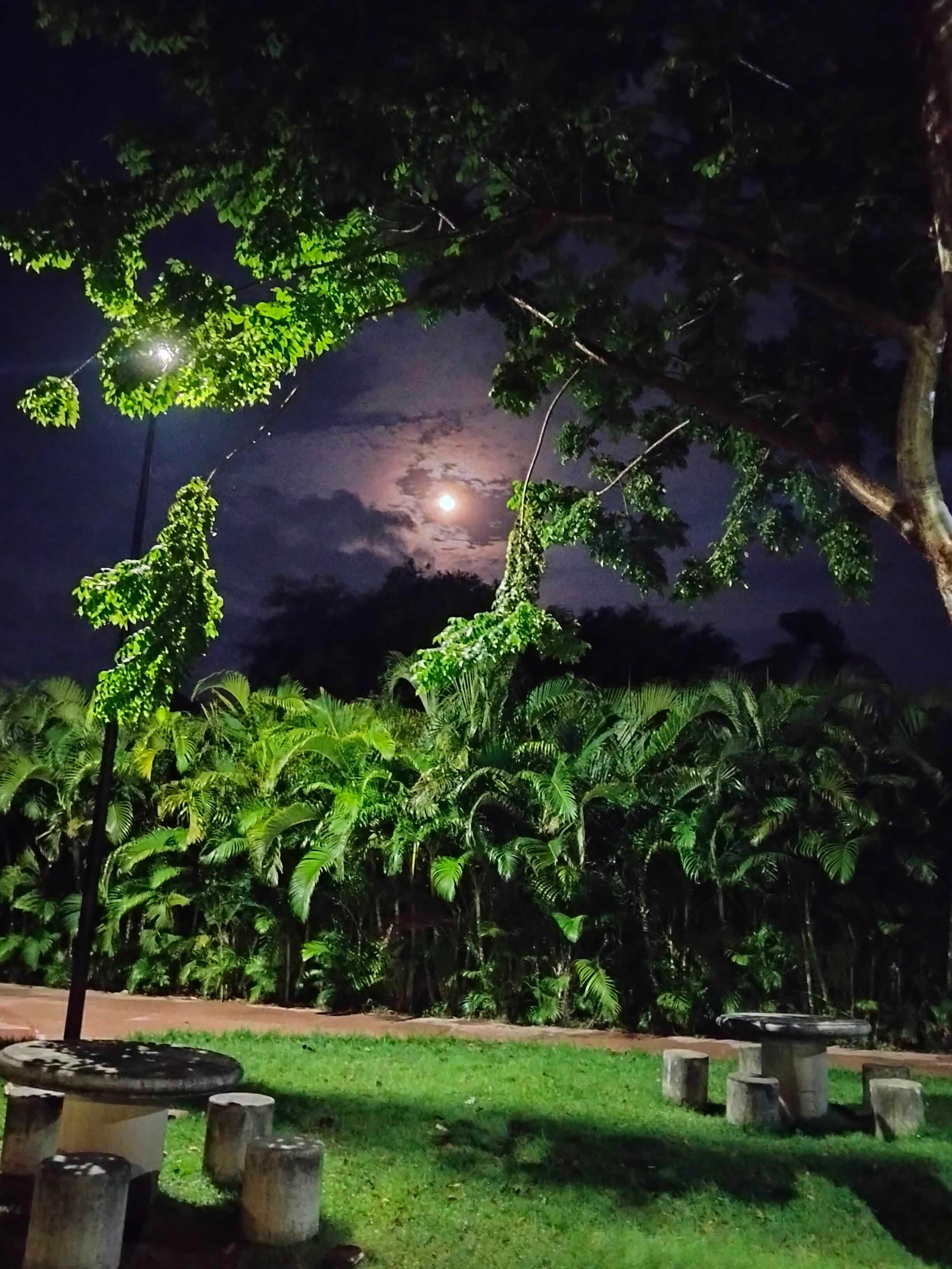 The Moon over Mezcales, México — waning gibbous, Lunar Day 19