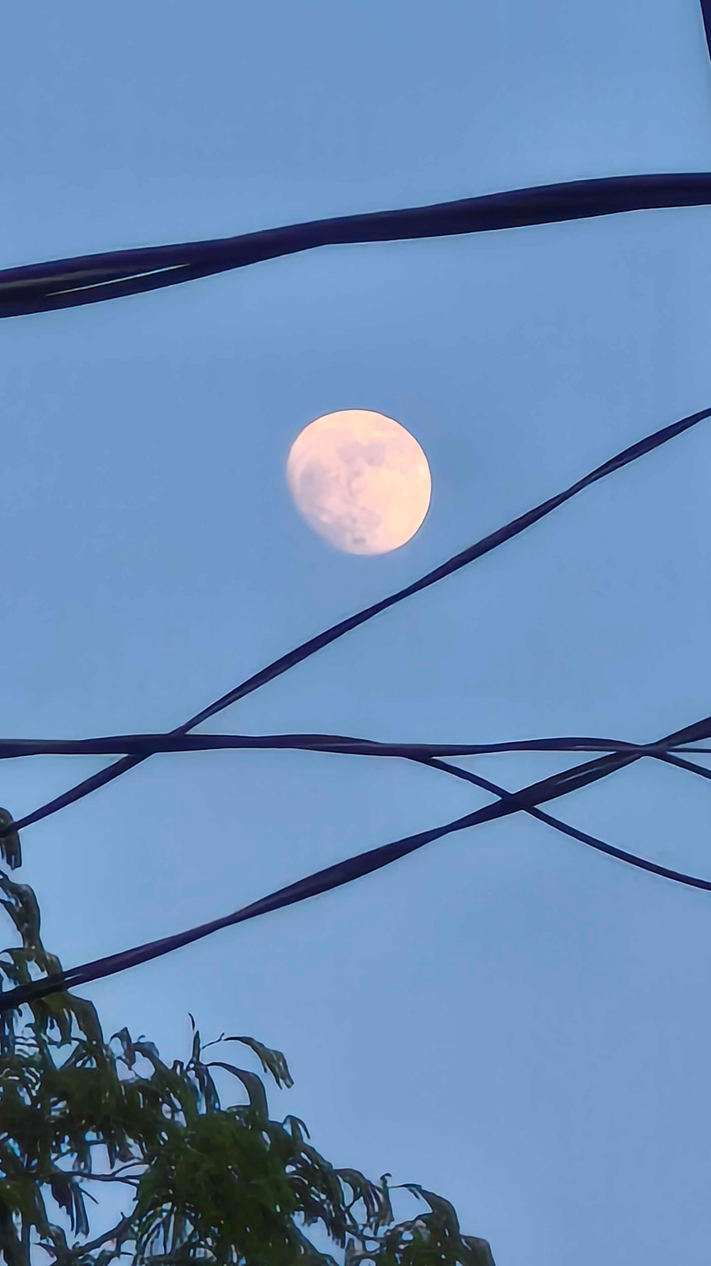 The Moon over Ciudad Valles, México — waxing gibbous, Lunar Day 14