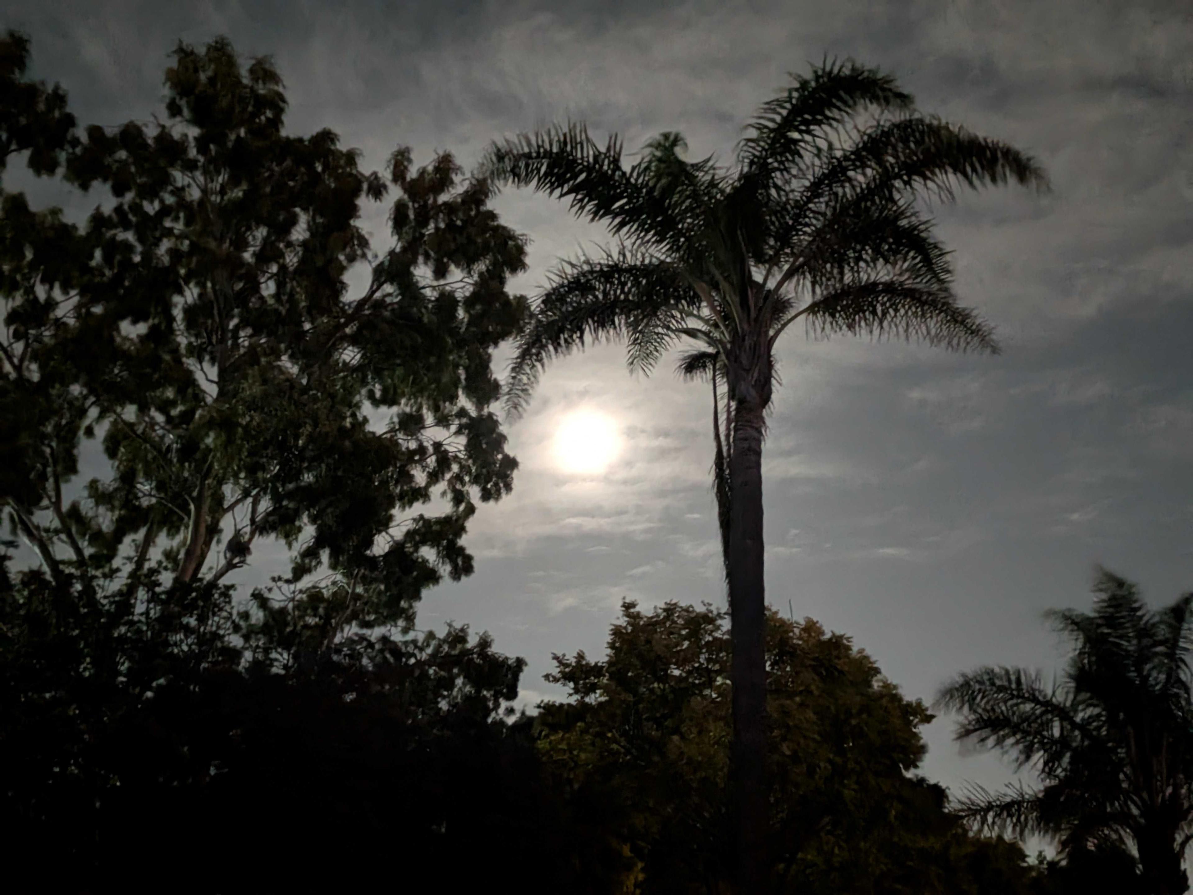 The Moon over Yangebup, Australia — full moon, Lunar Day 15
