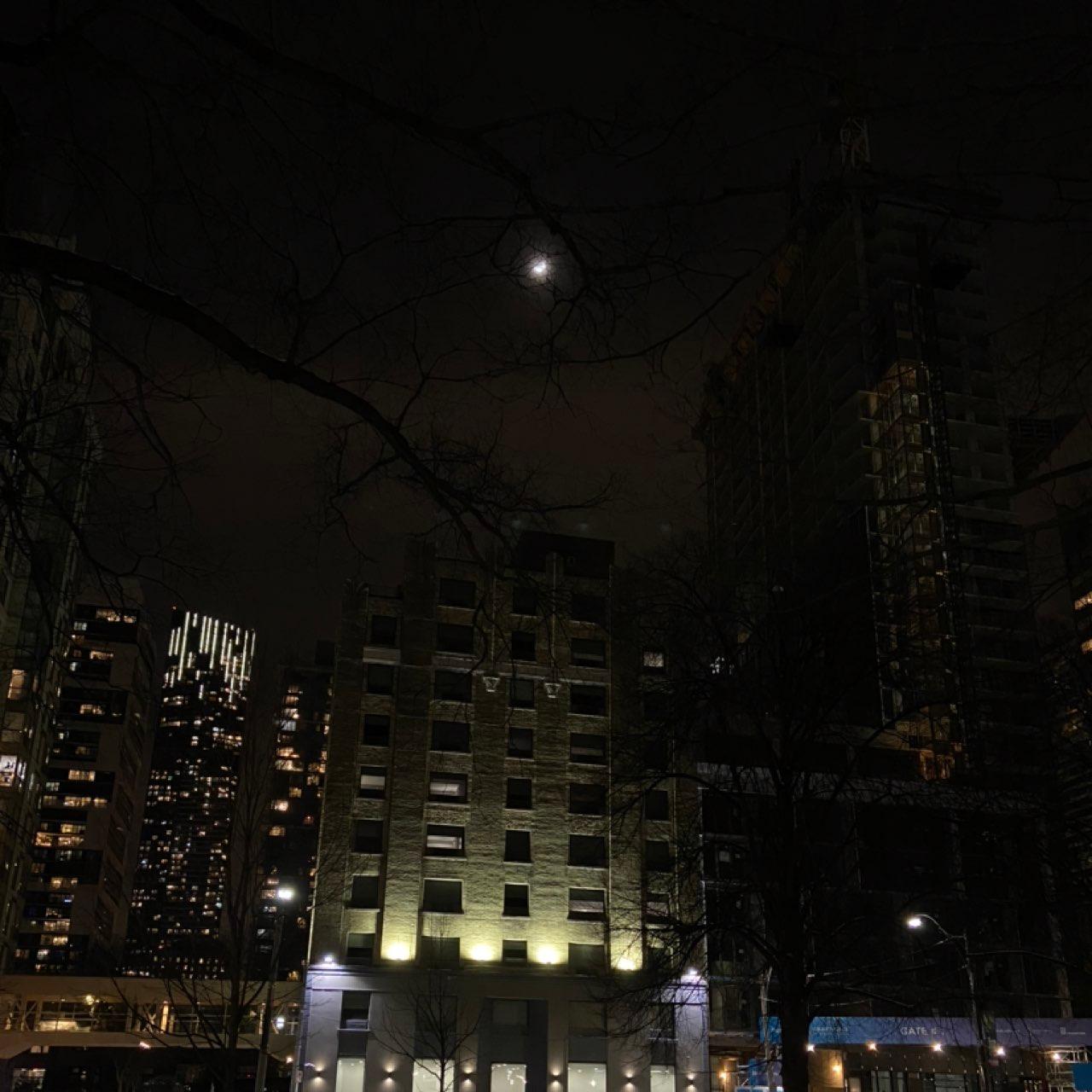 The Moon over Toronto, Canada — first quarter, Lunar Day 8