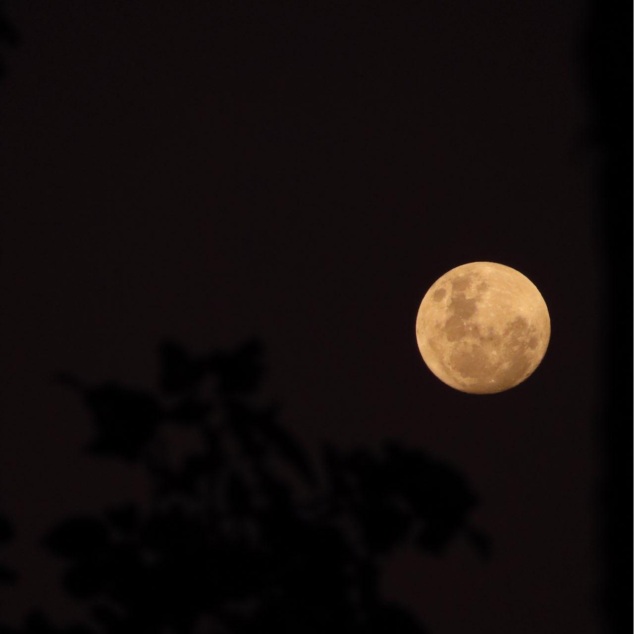 The Moon over Bundaberg East, Australia — full moon, Lunar Day 15