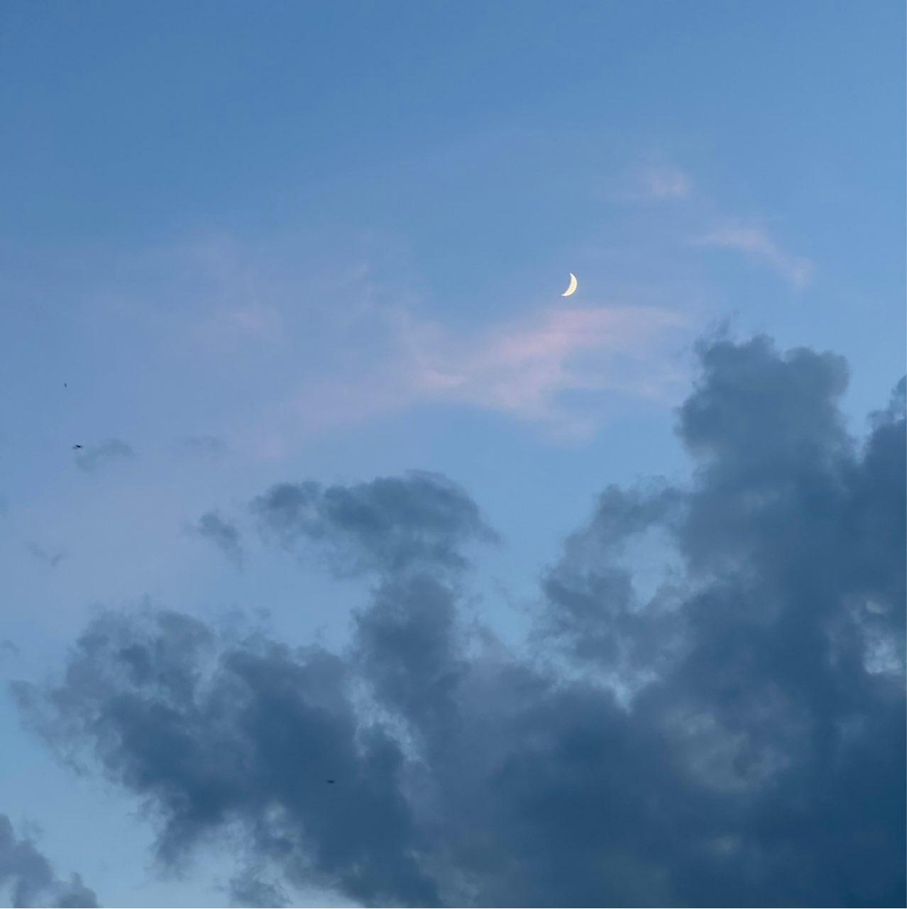 The Moon over Minsk, Belarus — first quarter, Lunar Day 6