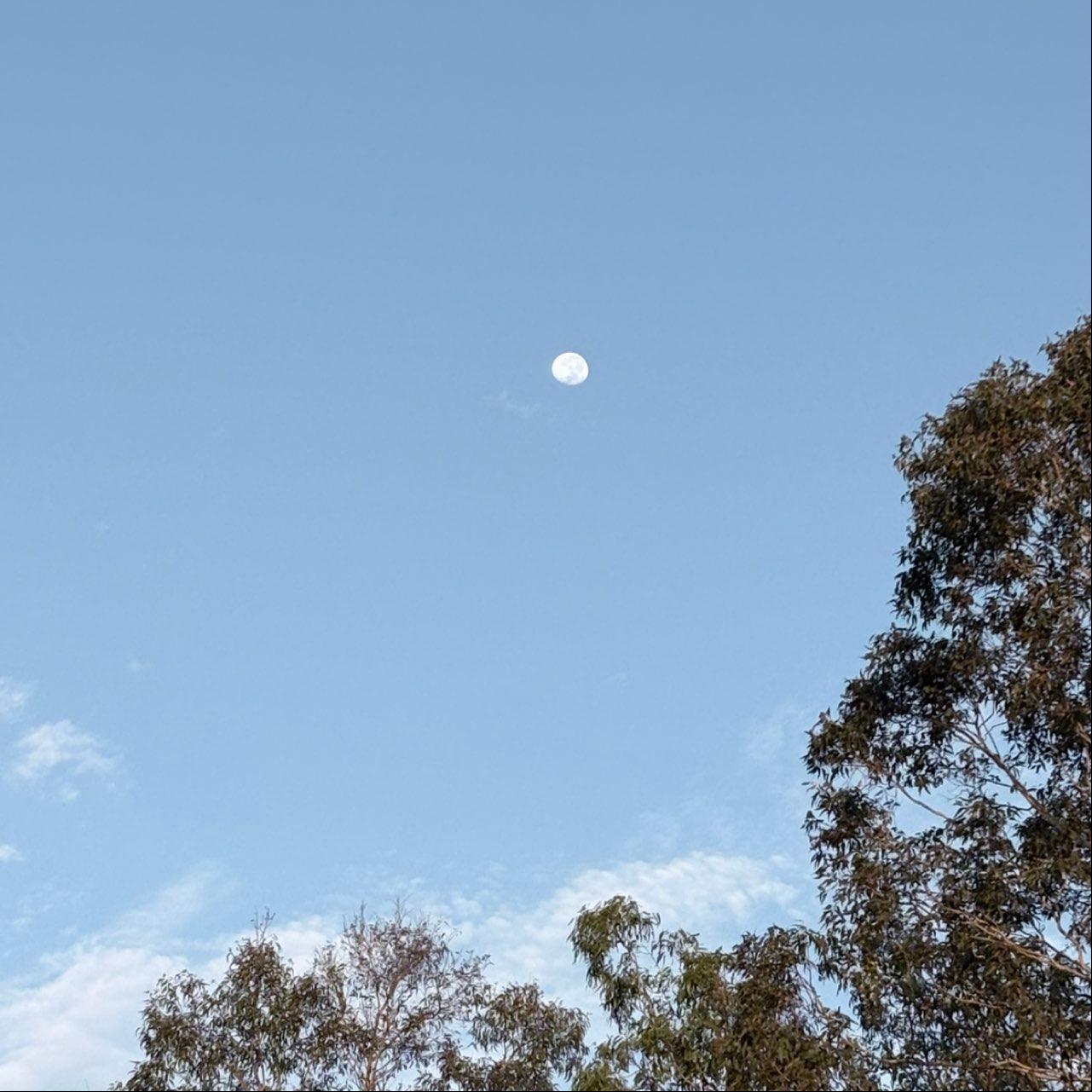 The Moon over Nerong, Australia — waning gibbous, Lunar Day 18