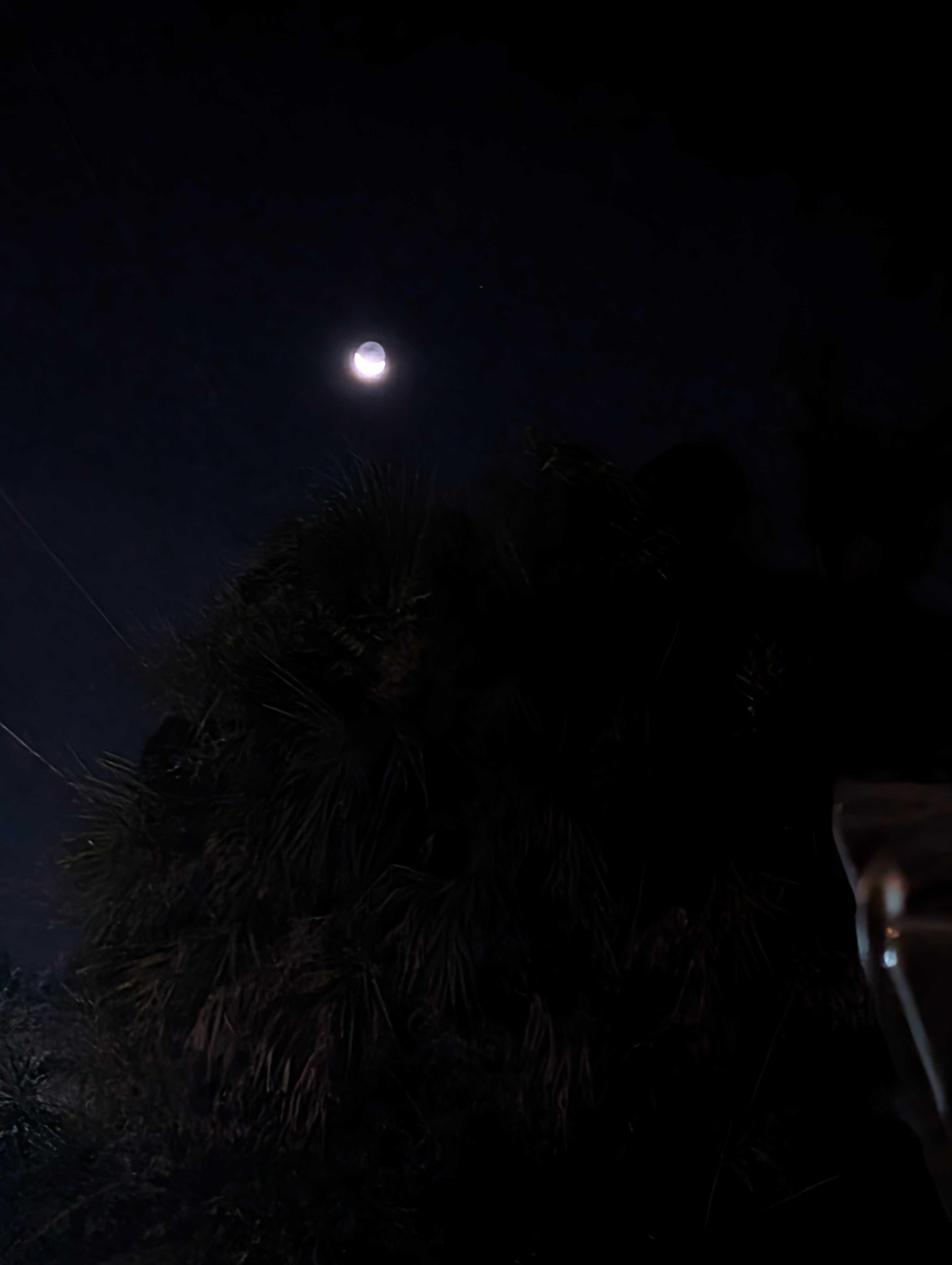 The Moon over Port St. Lucie, United States — waning crescent, Lunar Day 27