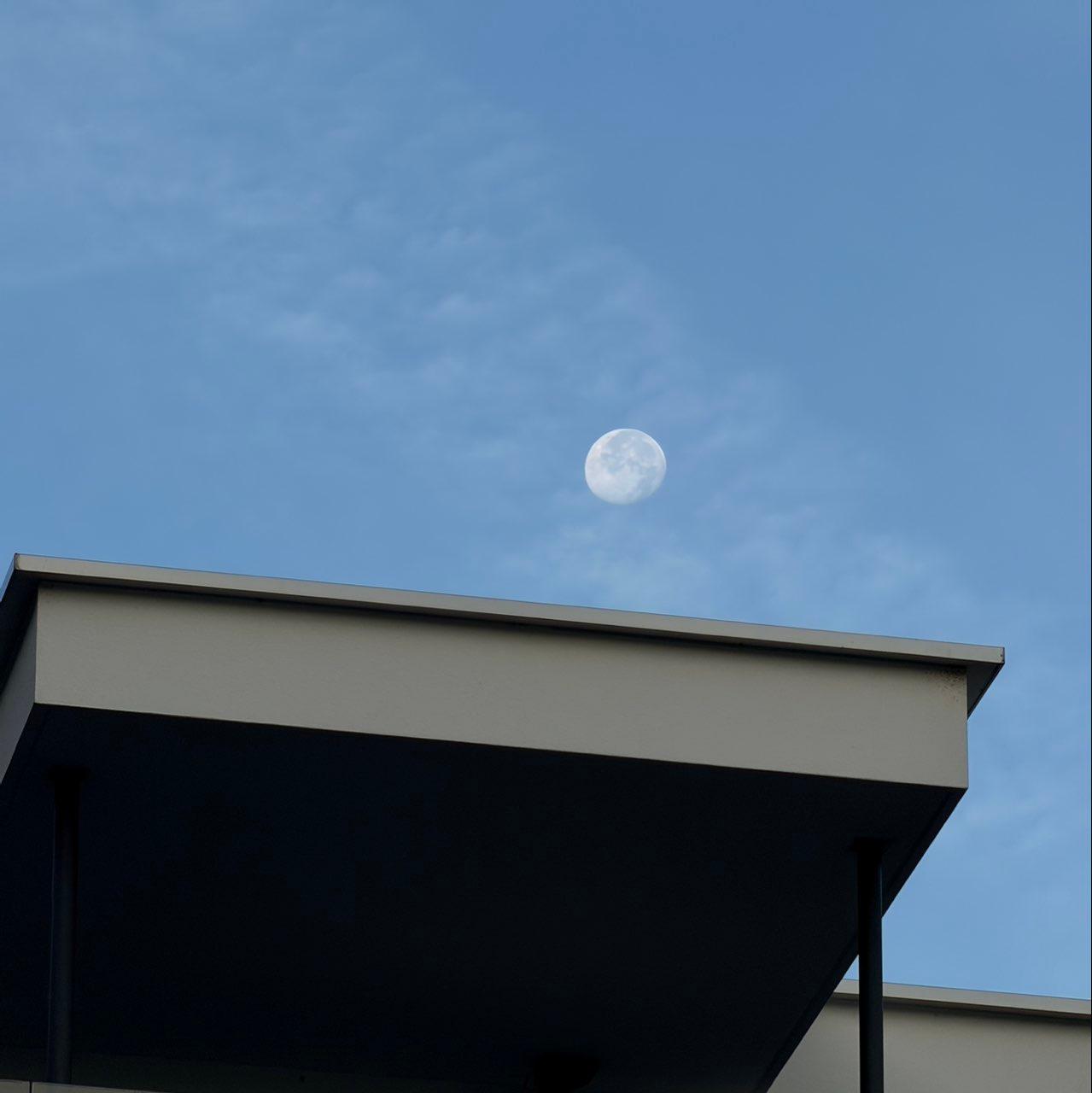 The Moon over Feusisberg, Schweiz — waning gibbous, Lunar Day 19