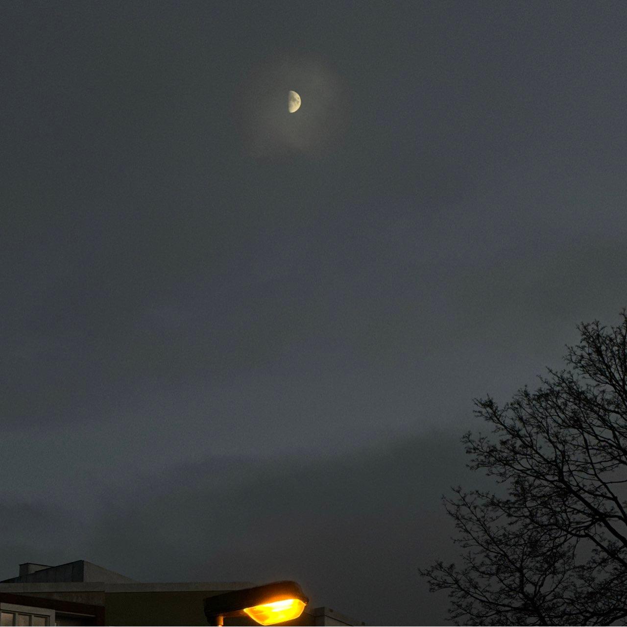 The Moon over Örebro, Sverige — first quarter, Lunar Day 9