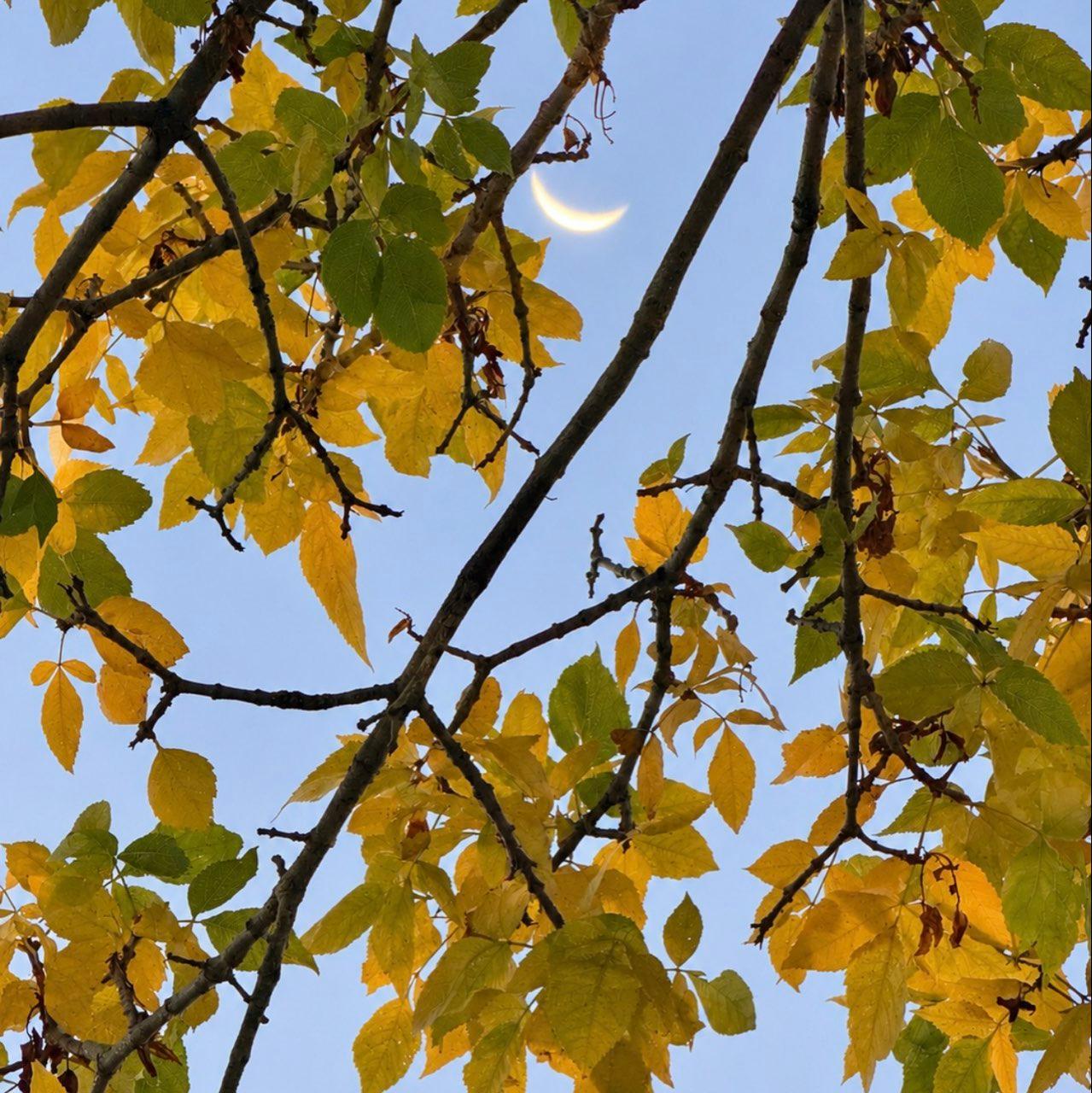 The Moon over Colorado Springs, United States — waning crescent, Lunar Day 26