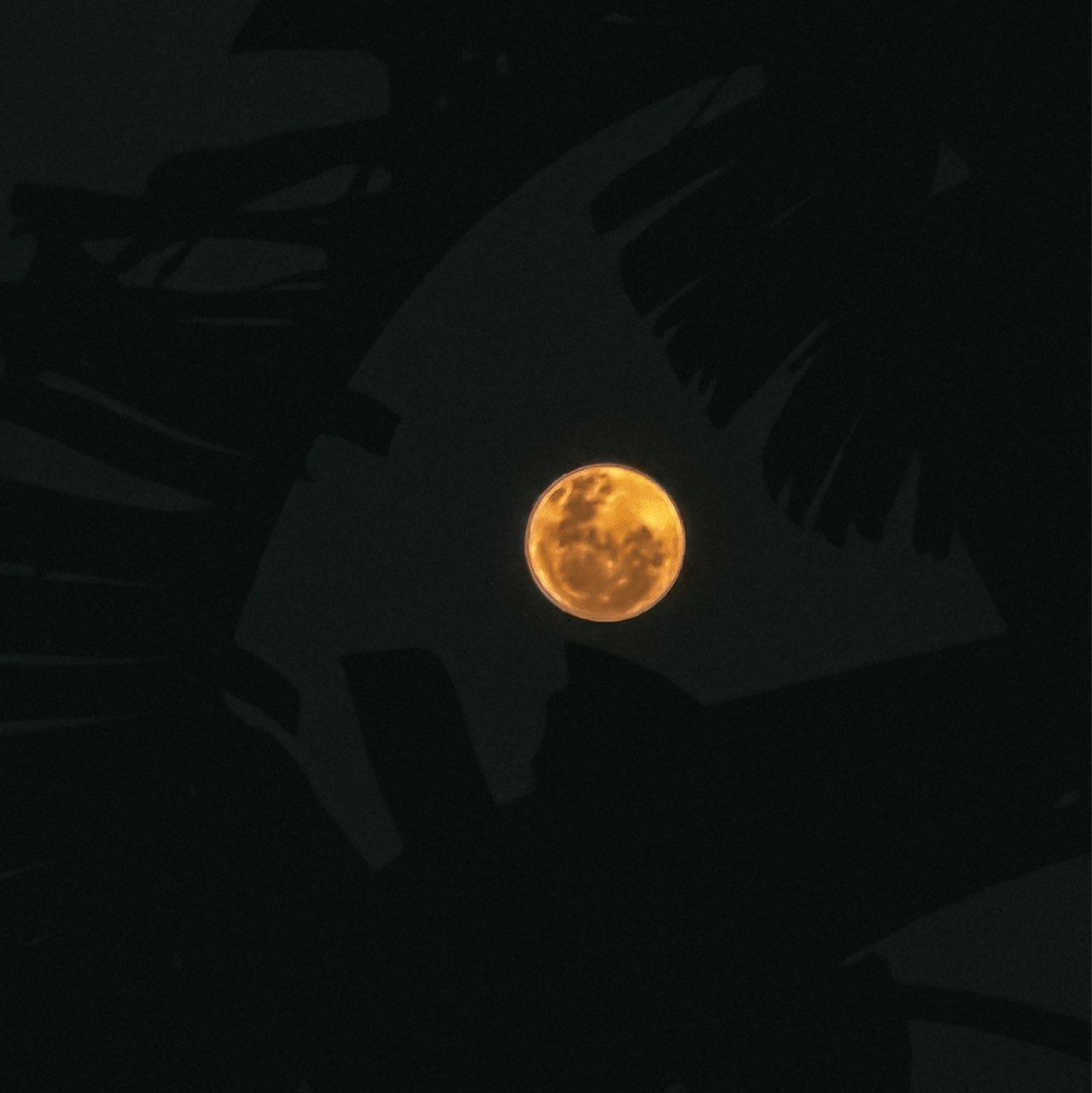The Moon over Ballito, South Africa — full moon, Lunar Day 16