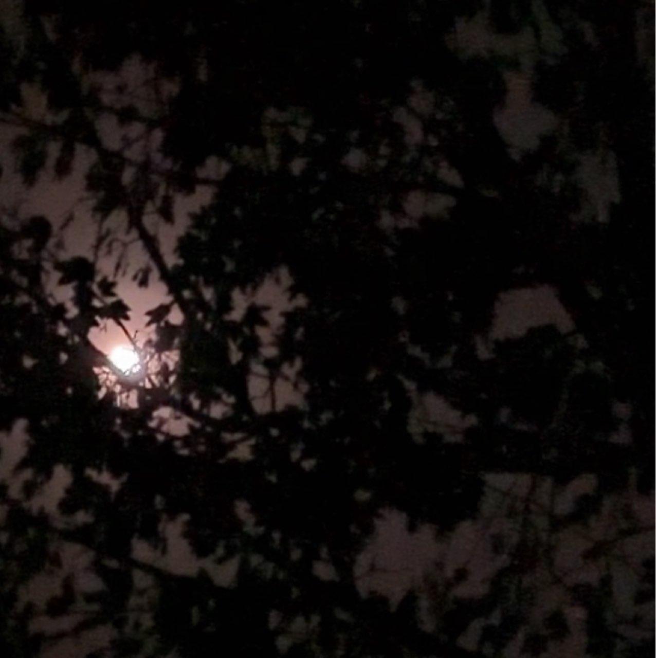 The Moon over Weymouth, United Kingdom — last quarter, Lunar Day 21